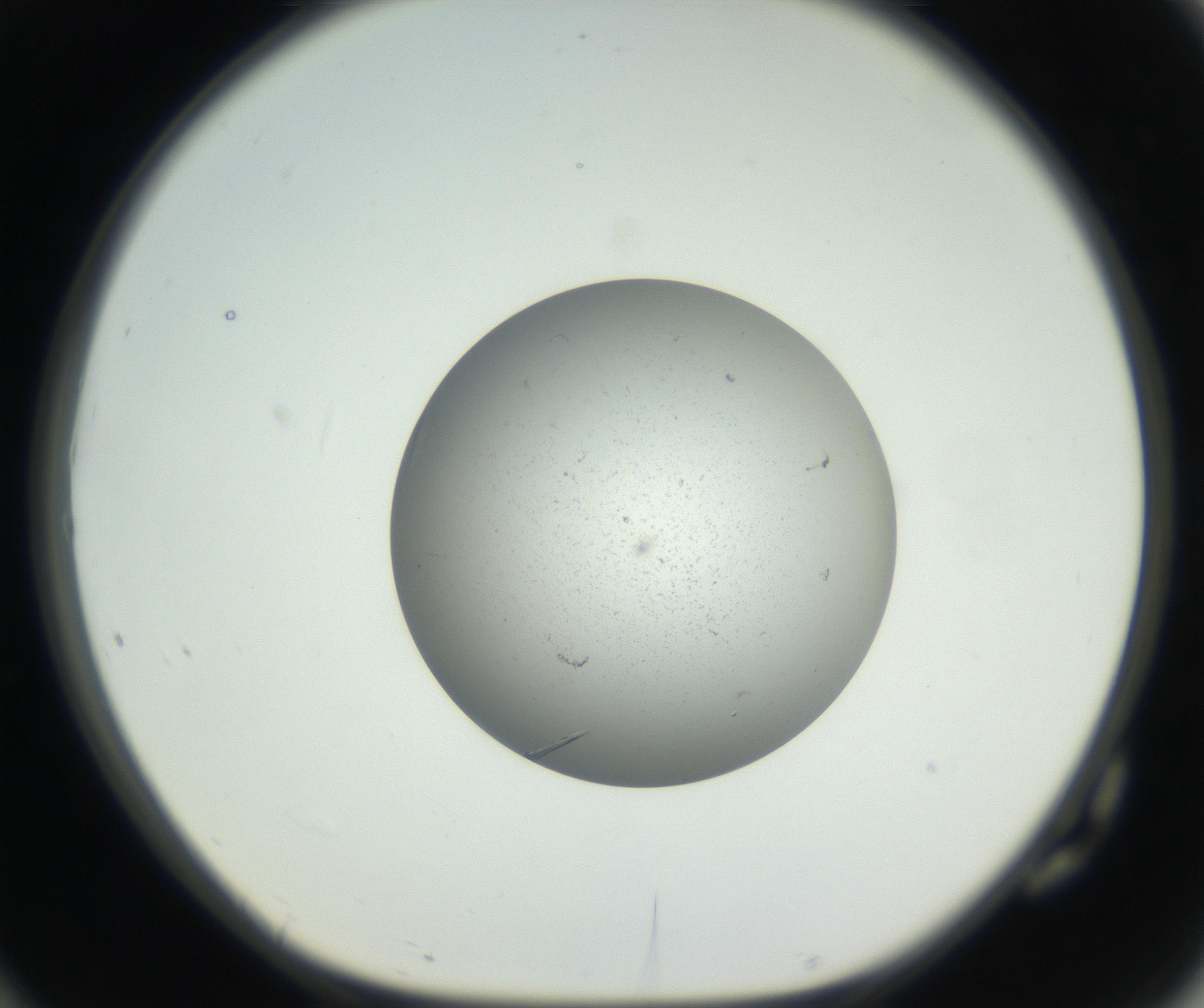 RI01_03_000_0212_Proj1_Clon1_MC_0000MC102624_006_160818_10_07_01_00_99_002_001_RAI.jpg