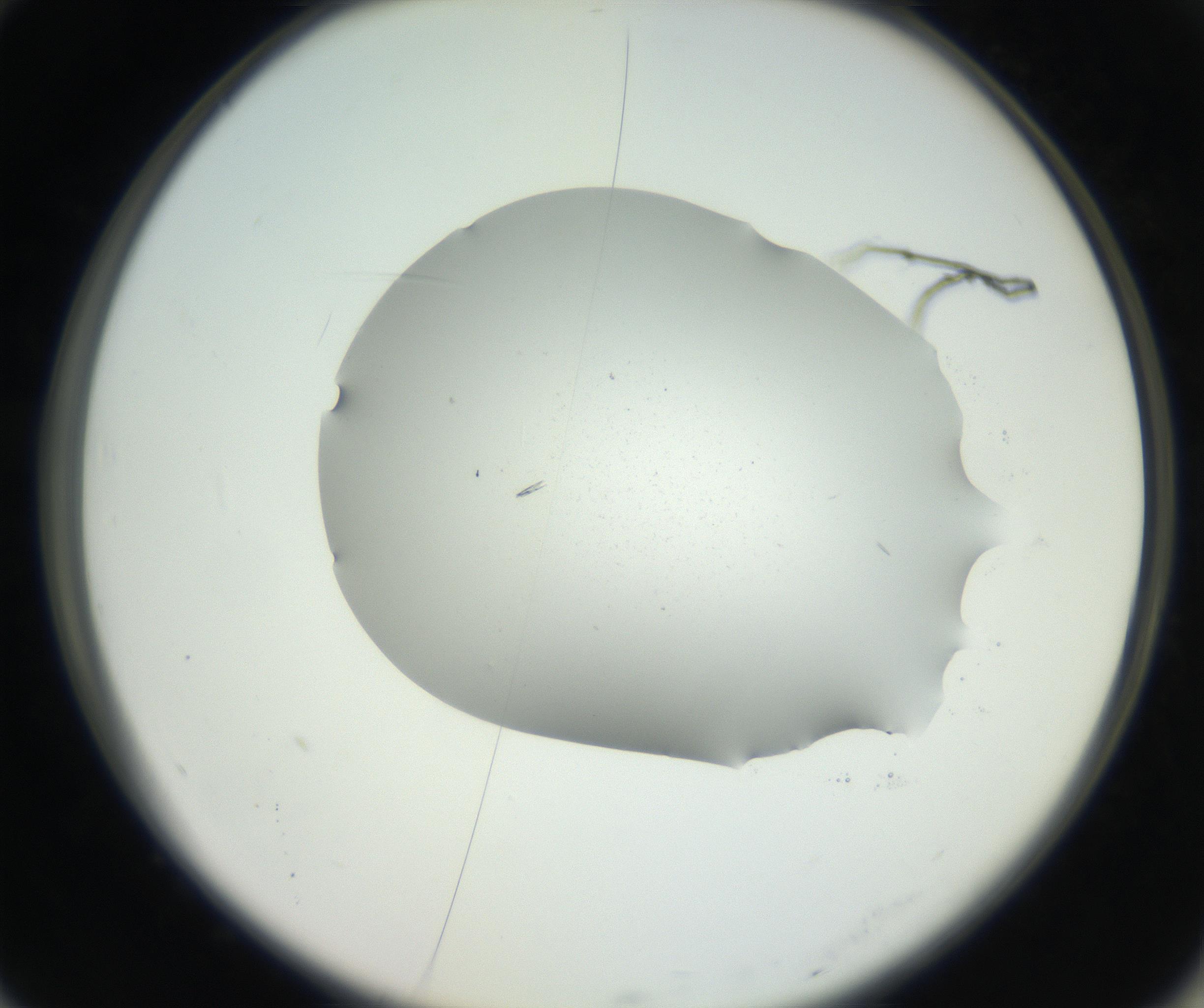 RI01_03_000_0212_Proj1_Clon1_MC_0000MC102624_006_160818_10_07_02_00_99_002_001_RAI.jpg