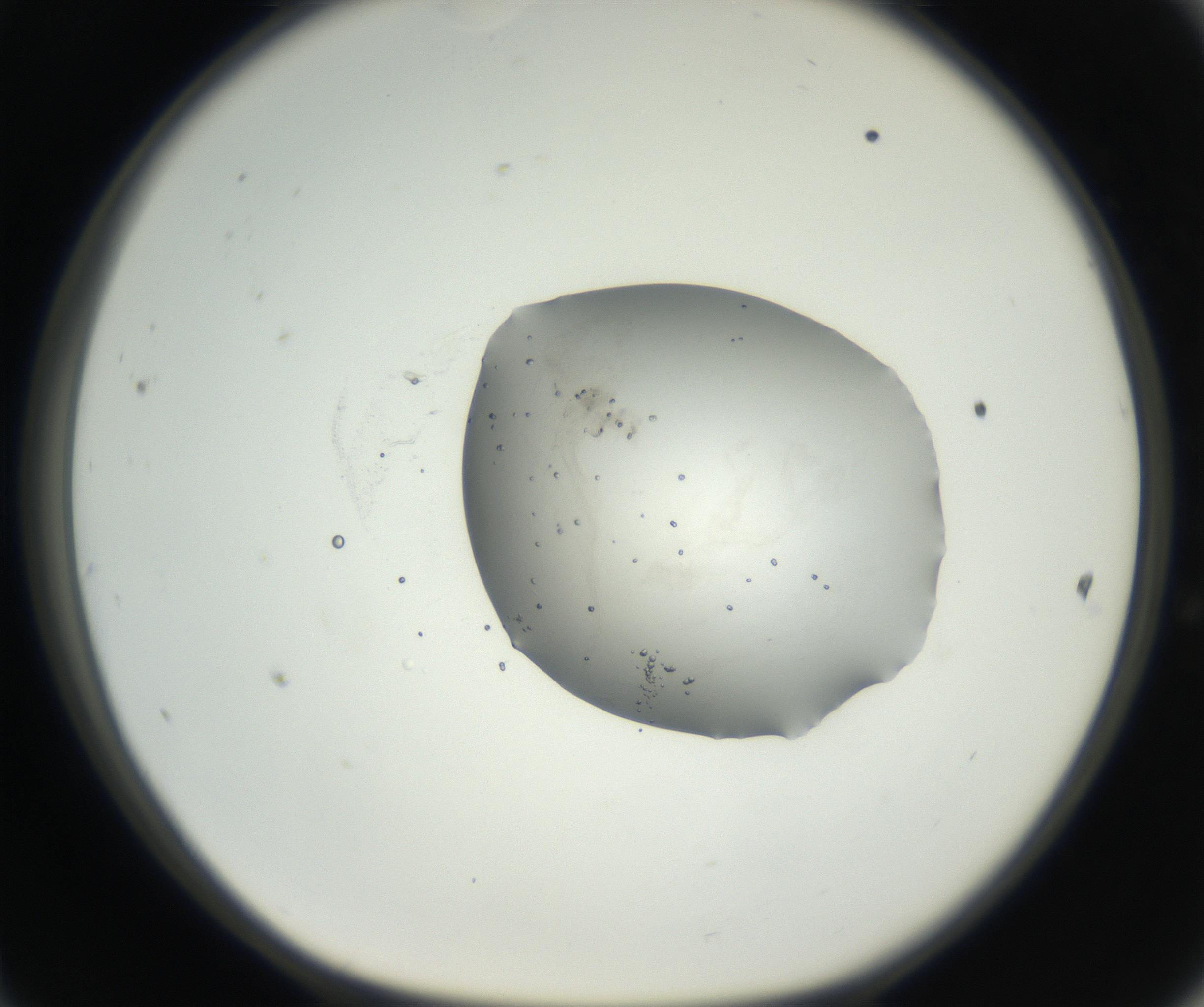RI01_03_000_0212_Proj1_Clon1_MC_0000MC102627_002_160810_11_04_01_00_99_002_001_RAI.jpg
