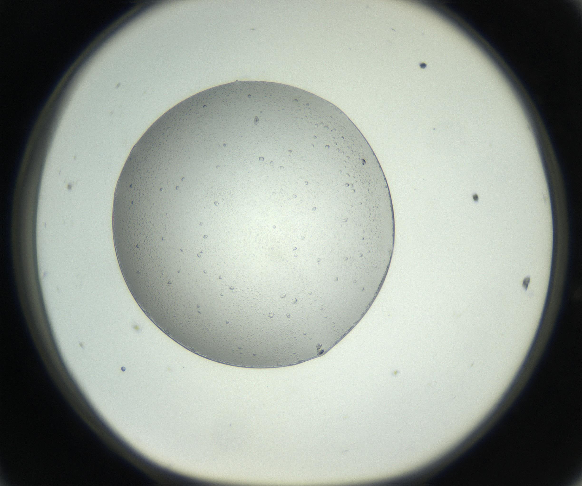 RI01_03_000_0212_Proj1_Clon1_MC_0000MC102628_011_160921_11_04_01_00_99_002_001_RAI.jpg