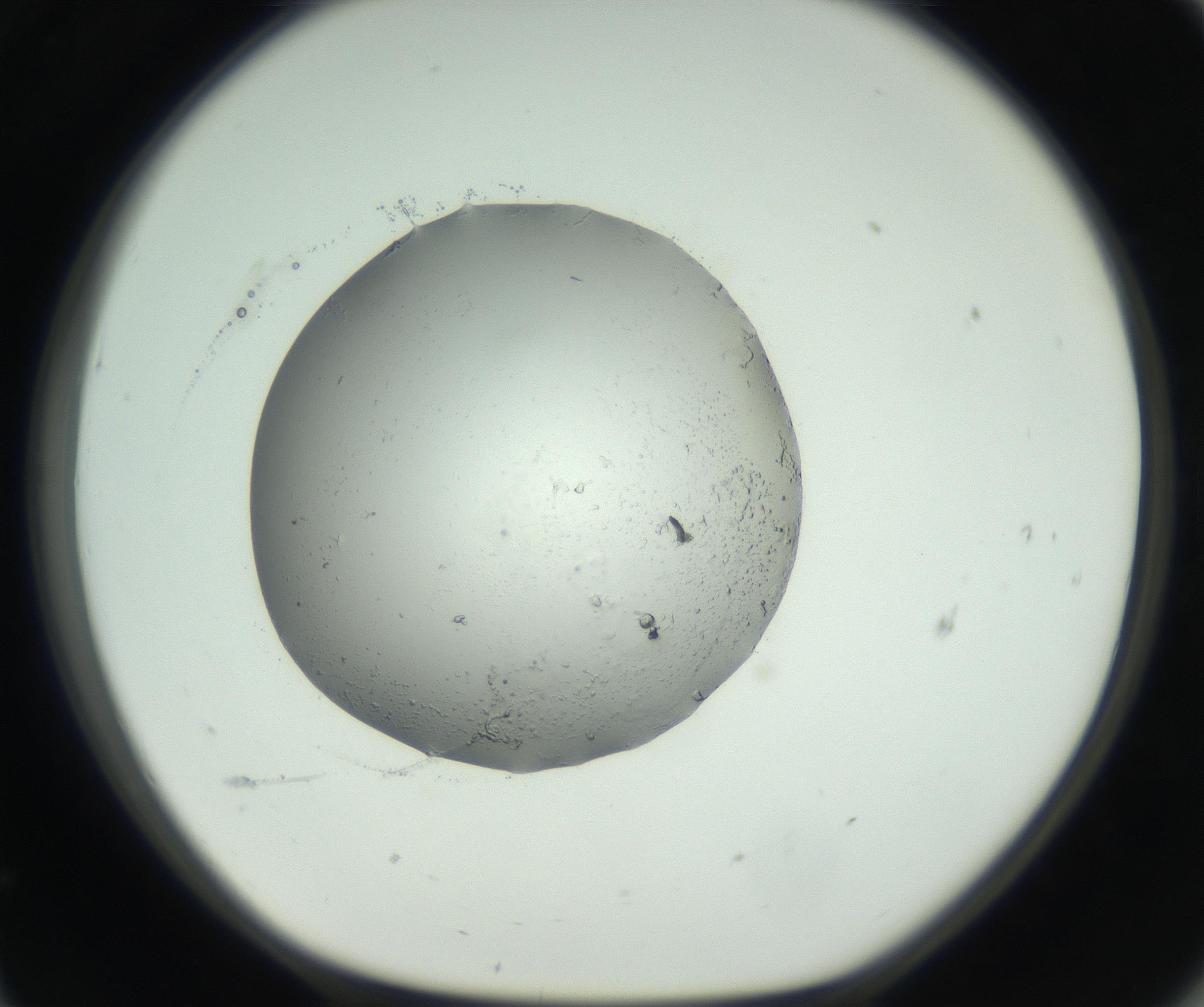 RI01_03_000_0212_Proj1_Clon1_MC_0000MC102628_011_160921_11_06_01_00_99_002_001_RAI.jpg