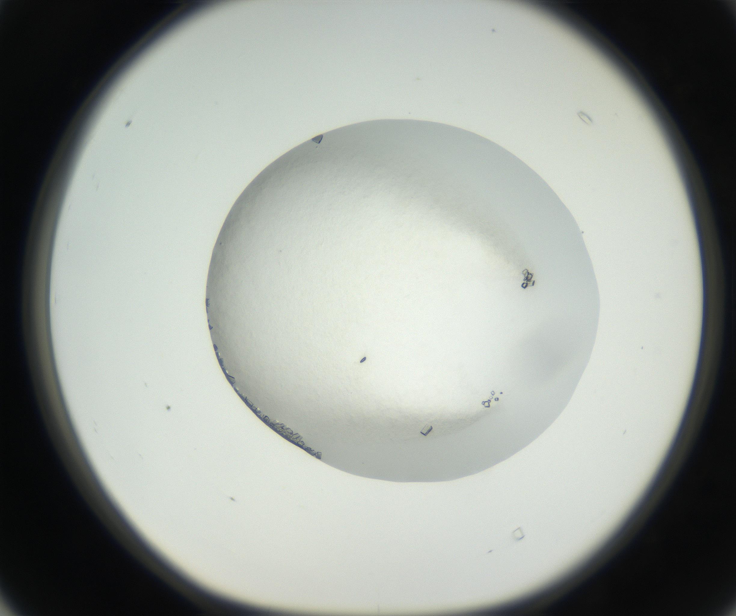 RI01_03_000_0212_Proj1_Clon1_MC_0000MC102631_002_160810_04_04_01_00_99_002_001_RAI.jpg