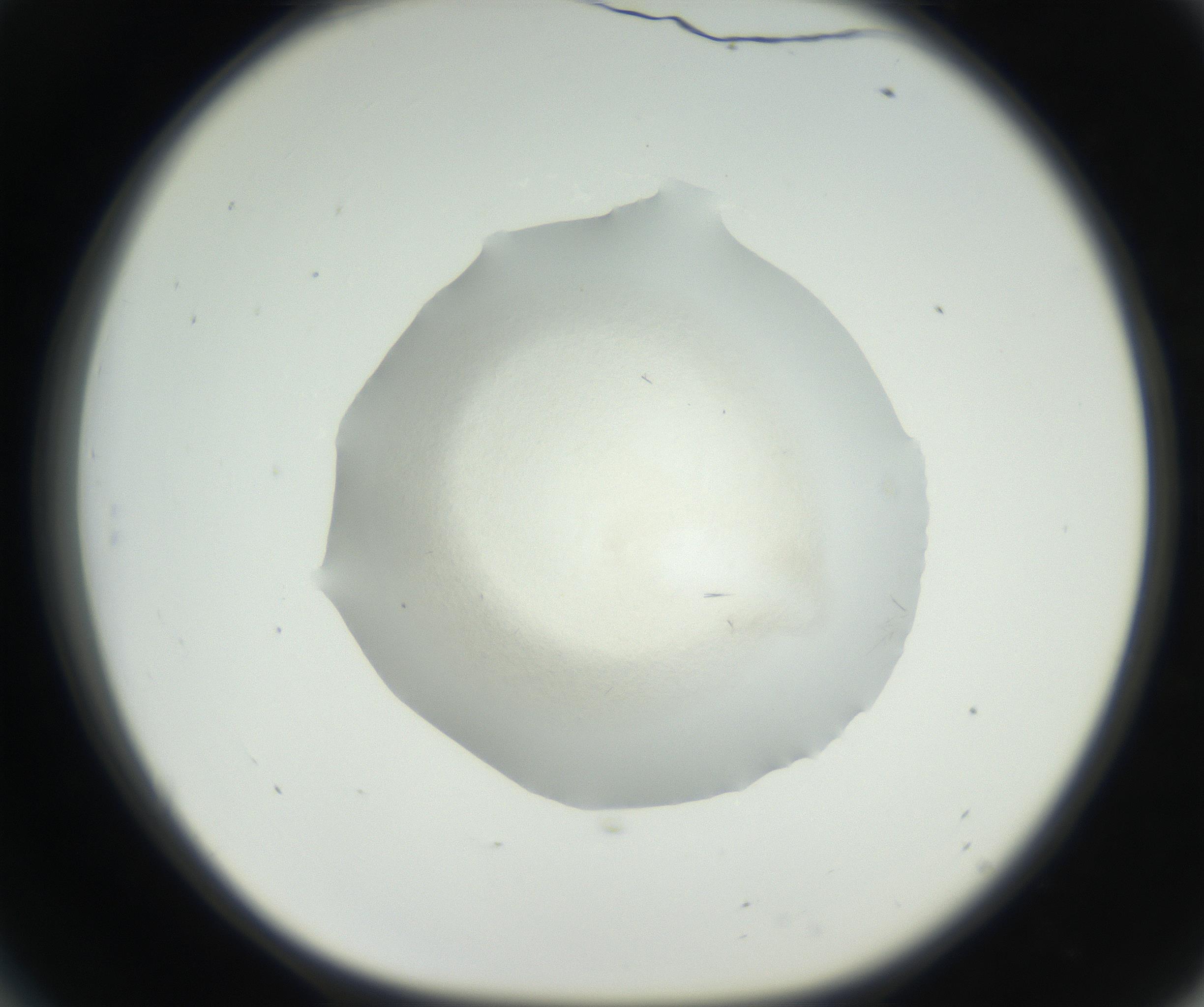 RI01_03_000_0212_Proj1_Clon1_MC_0000MC102631_002_160810_06_05_01_00_99_002_001_RAI.jpg