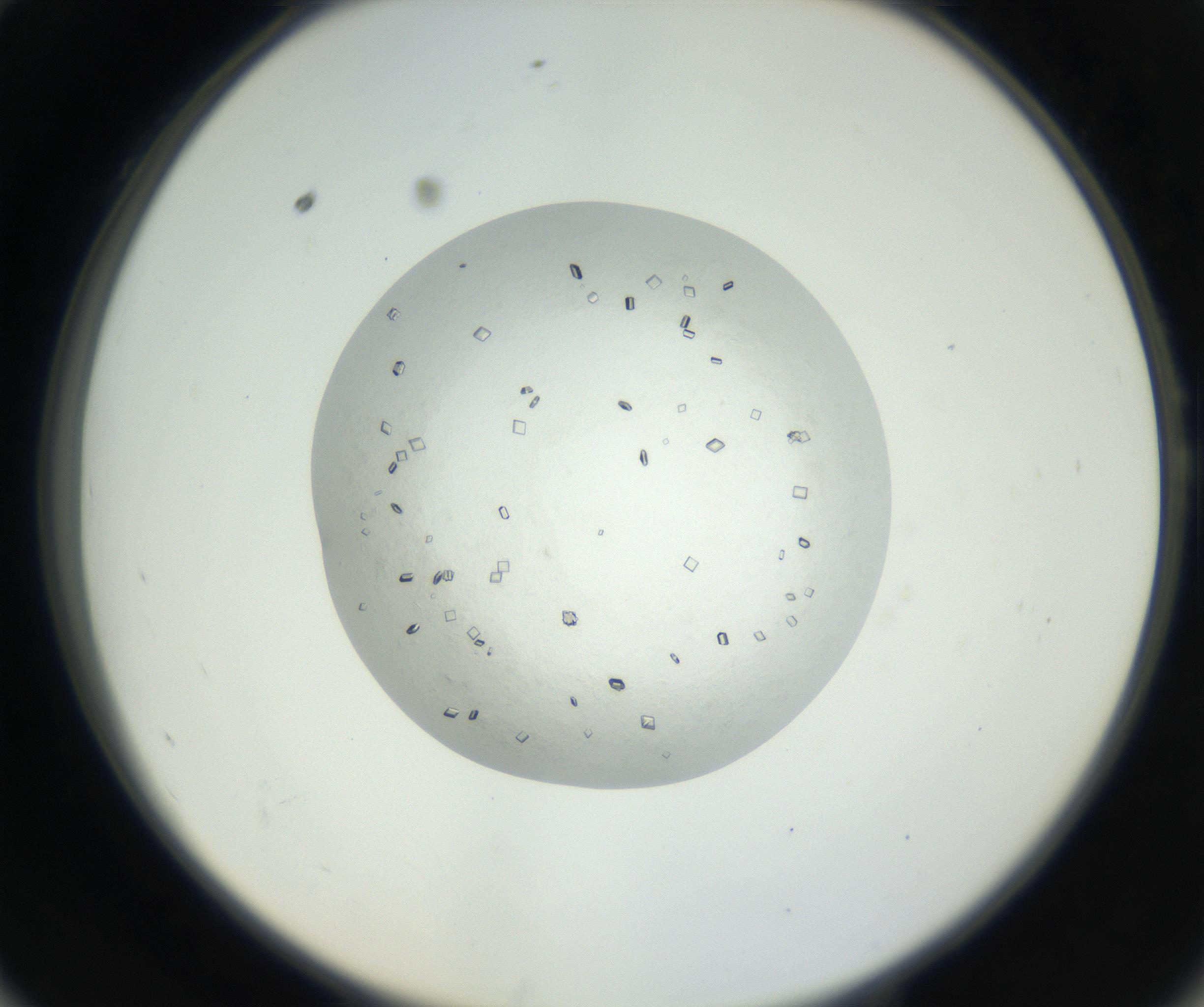 RI01_03_000_0212_Proj1_Clon1_MC_0000MC102631_002_160810_10_05_02_00_99_002_001_RAI.jpg