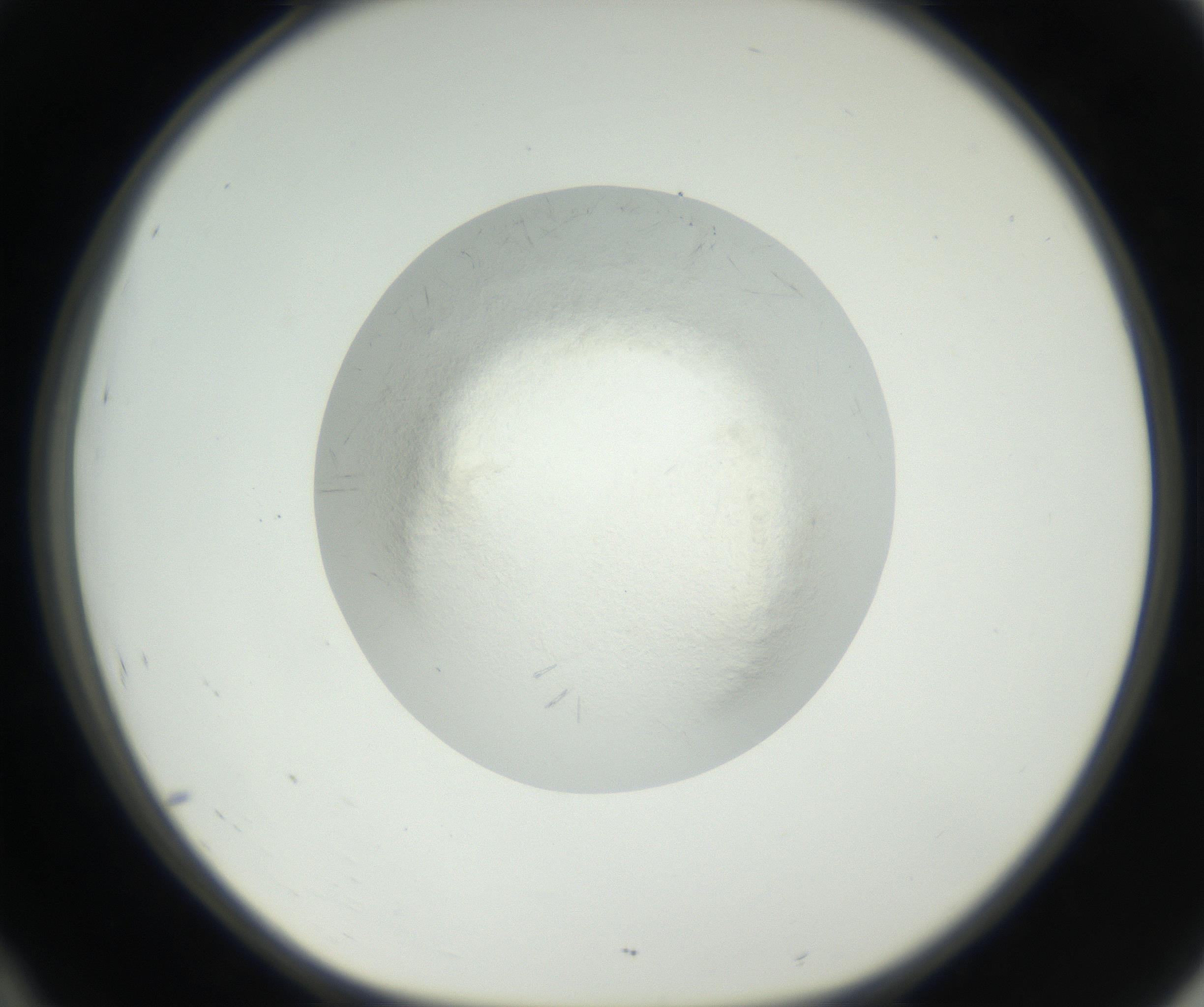 RI01_03_000_0212_Proj1_Clon1_MC_0000MC102631_003_160812_10_04_01_00_99_002_001_RAI.jpg