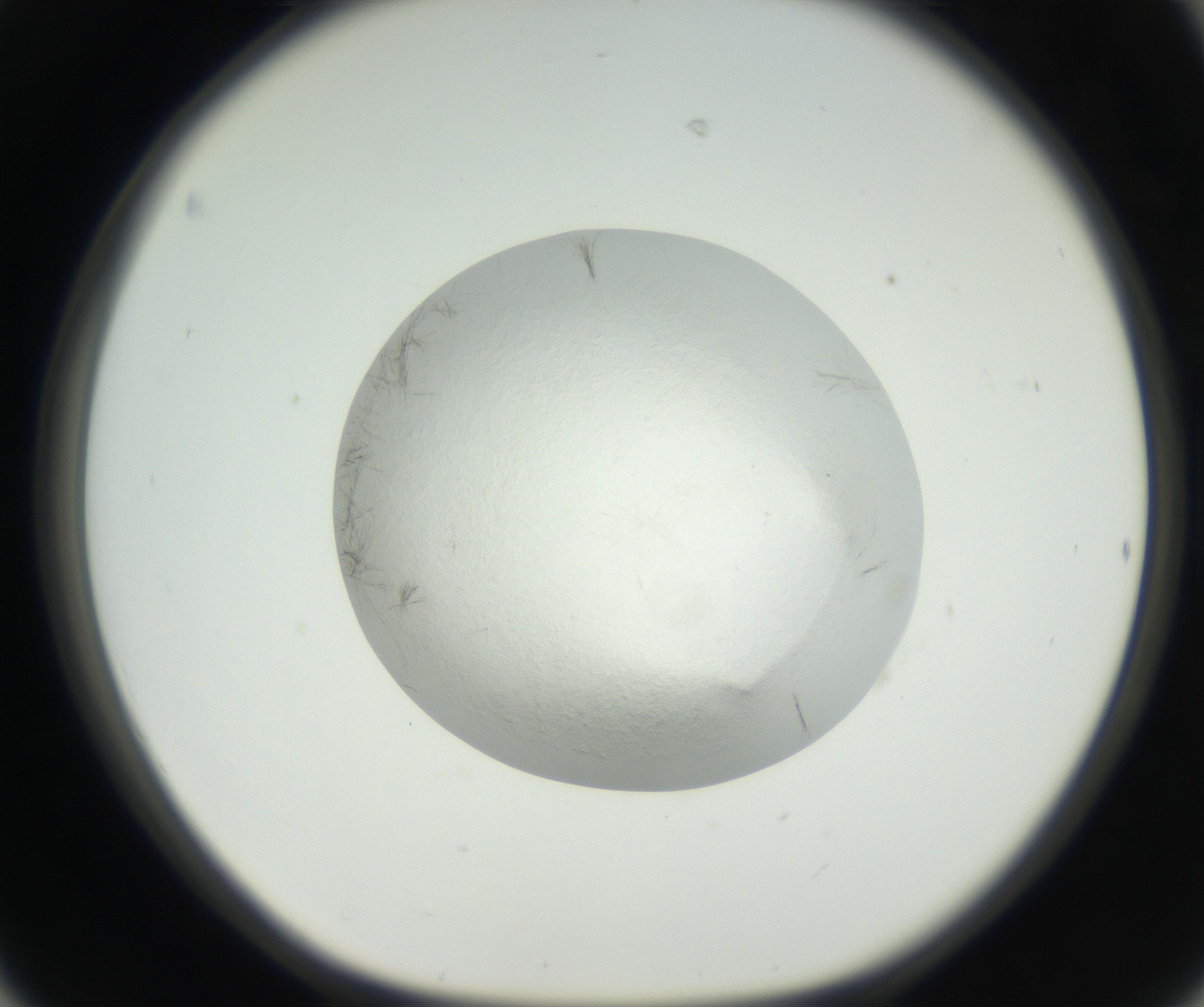 RI01_03_000_0212_Proj1_Clon1_MC_0000MC102631_004_160814_06_04_01_00_99_002_001_RAI.jpg