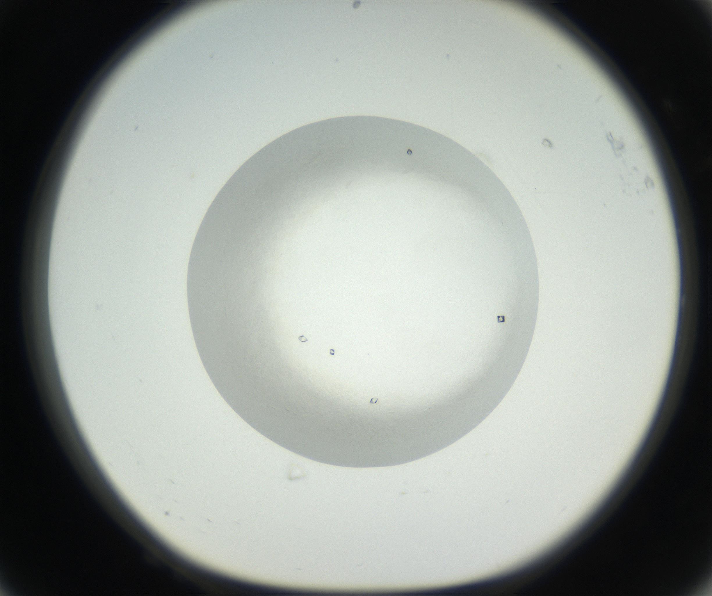 RI01_03_000_0212_Proj1_Clon1_MC_0000MC102631_004_160814_08_06_01_00_99_002_001_RAI.jpg