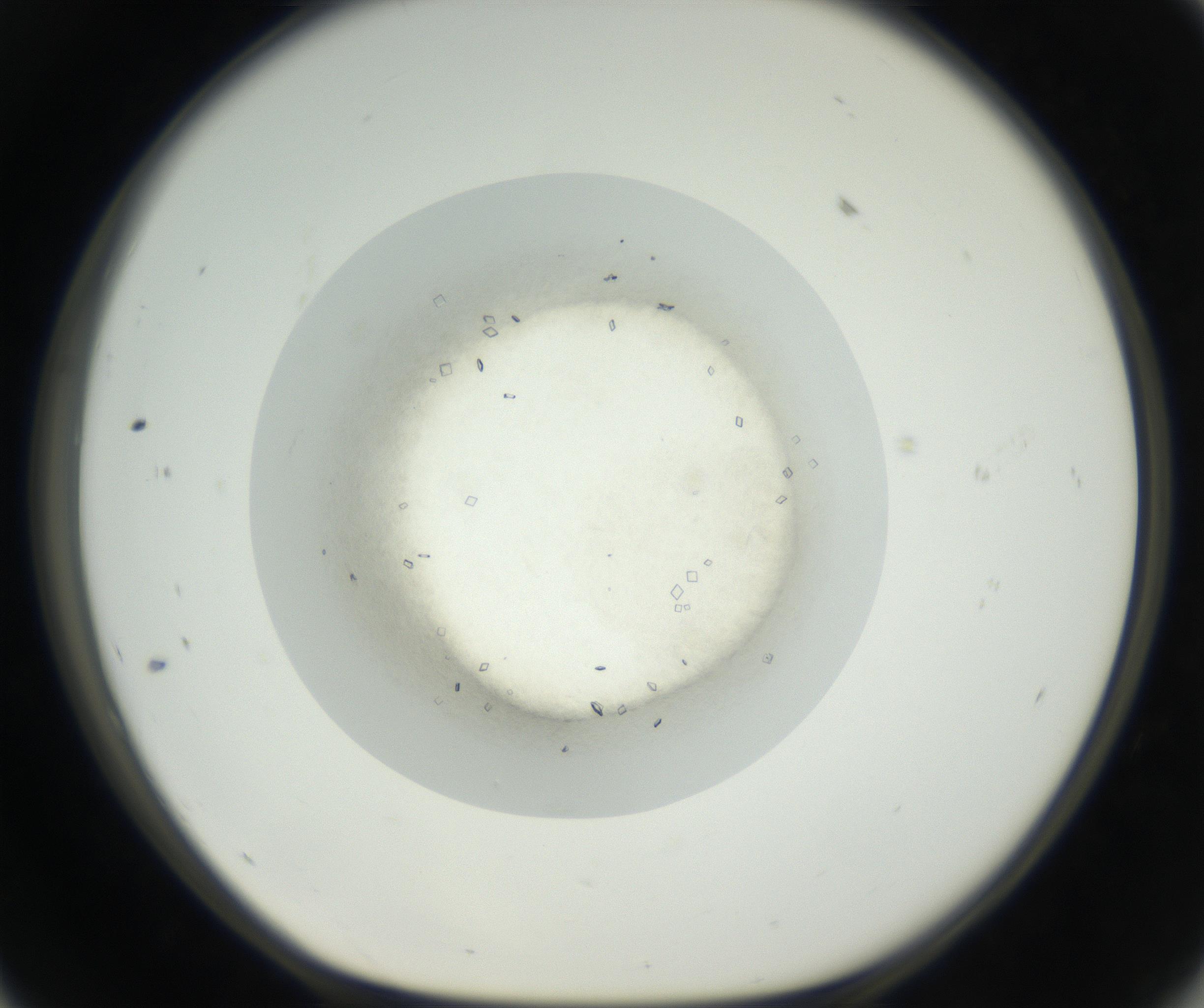 RI01_03_000_0212_Proj1_Clon1_MC_0000MC102631_004_160814_11_05_01_00_99_002_001_RAI.jpg
