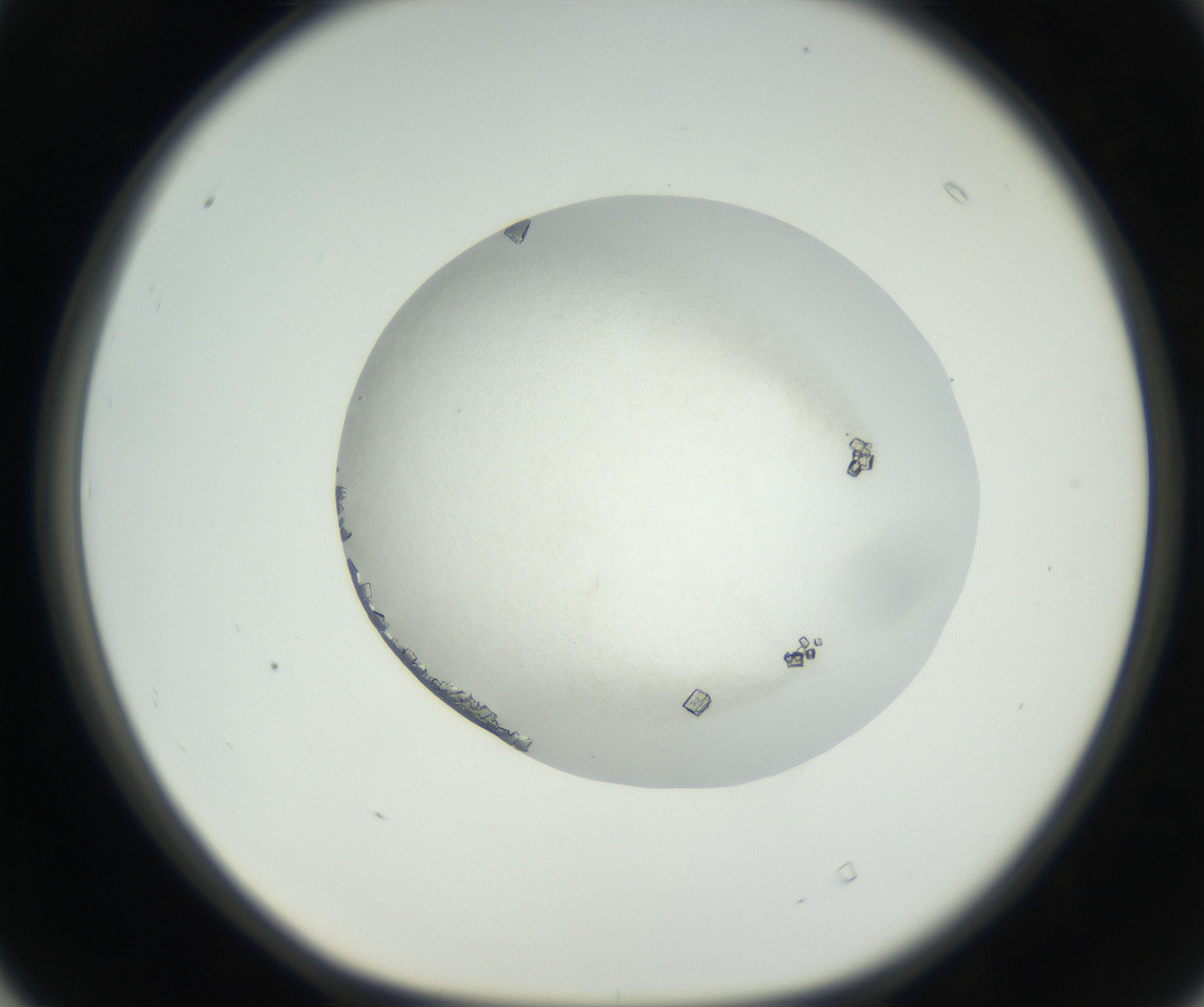 RI01_03_000_0212_Proj1_Clon1_MC_0000MC102631_005_160816_04_04_01_00_99_002_001_RAI.jpg