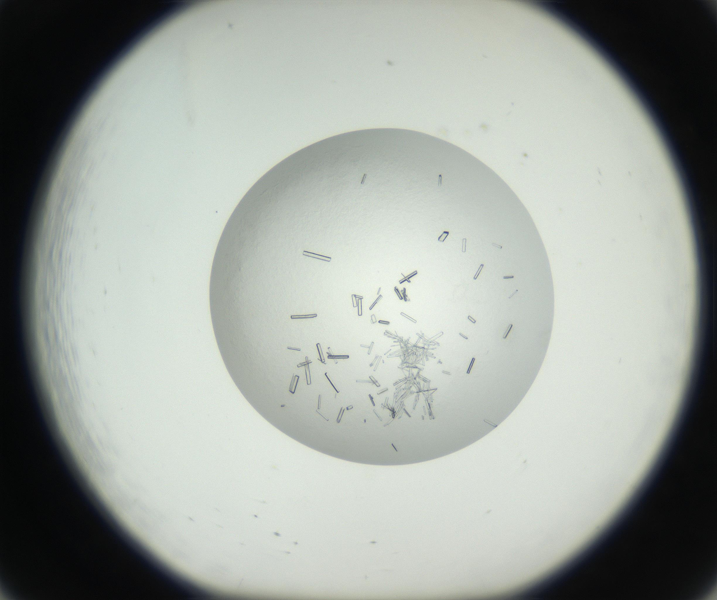 RI01_03_000_0212_Proj1_Clon1_MC_0000MC102631_005_160816_08_02_01_00_99_002_001_RAI.jpg