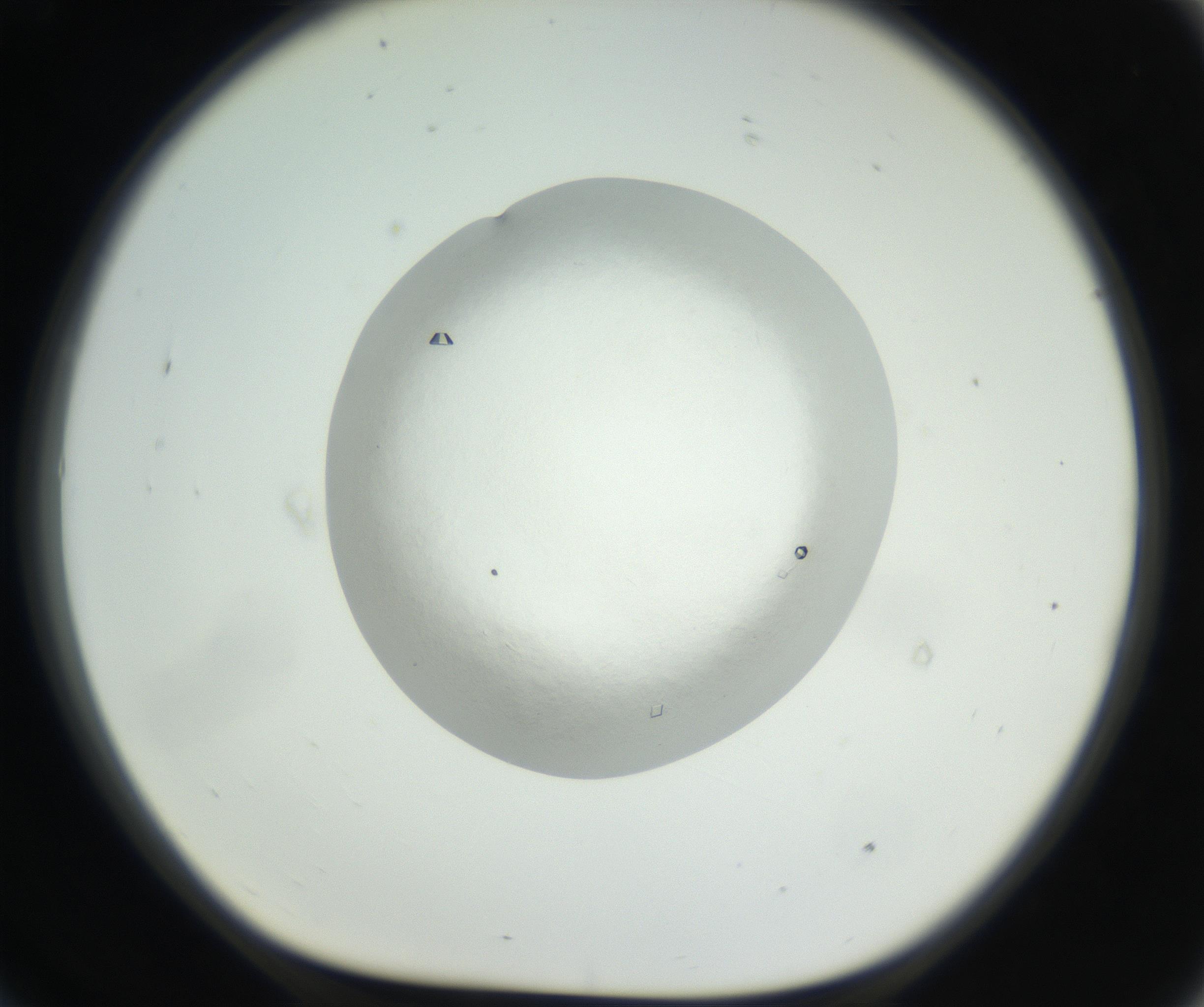 RI01_03_000_0212_Proj1_Clon1_MC_0000MC102631_005_160816_09_07_01_00_99_002_001_RAI.jpg