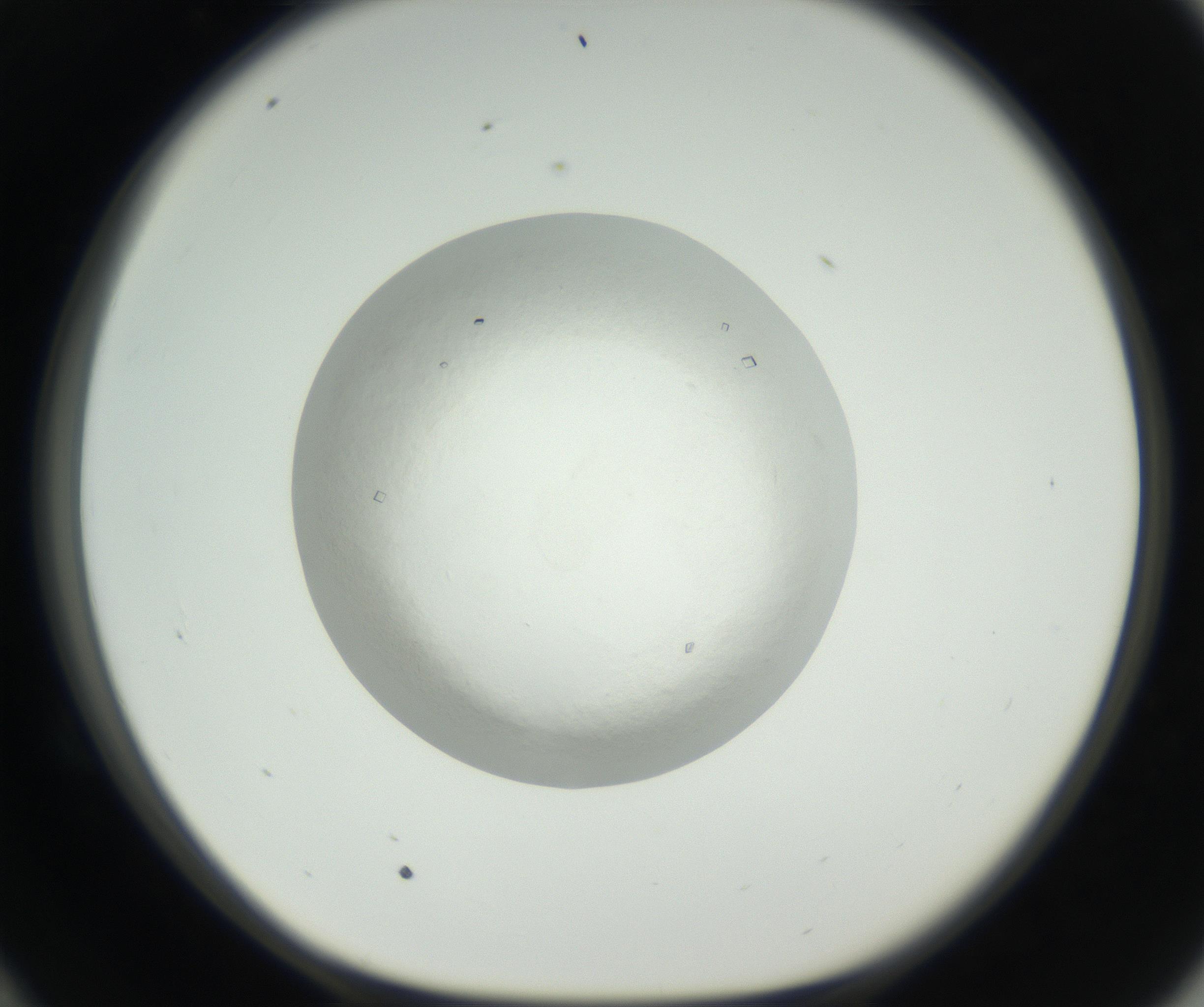 RI01_03_000_0212_Proj1_Clon1_MC_0000MC102631_005_160816_10_05_01_00_99_002_001_RAI.jpg