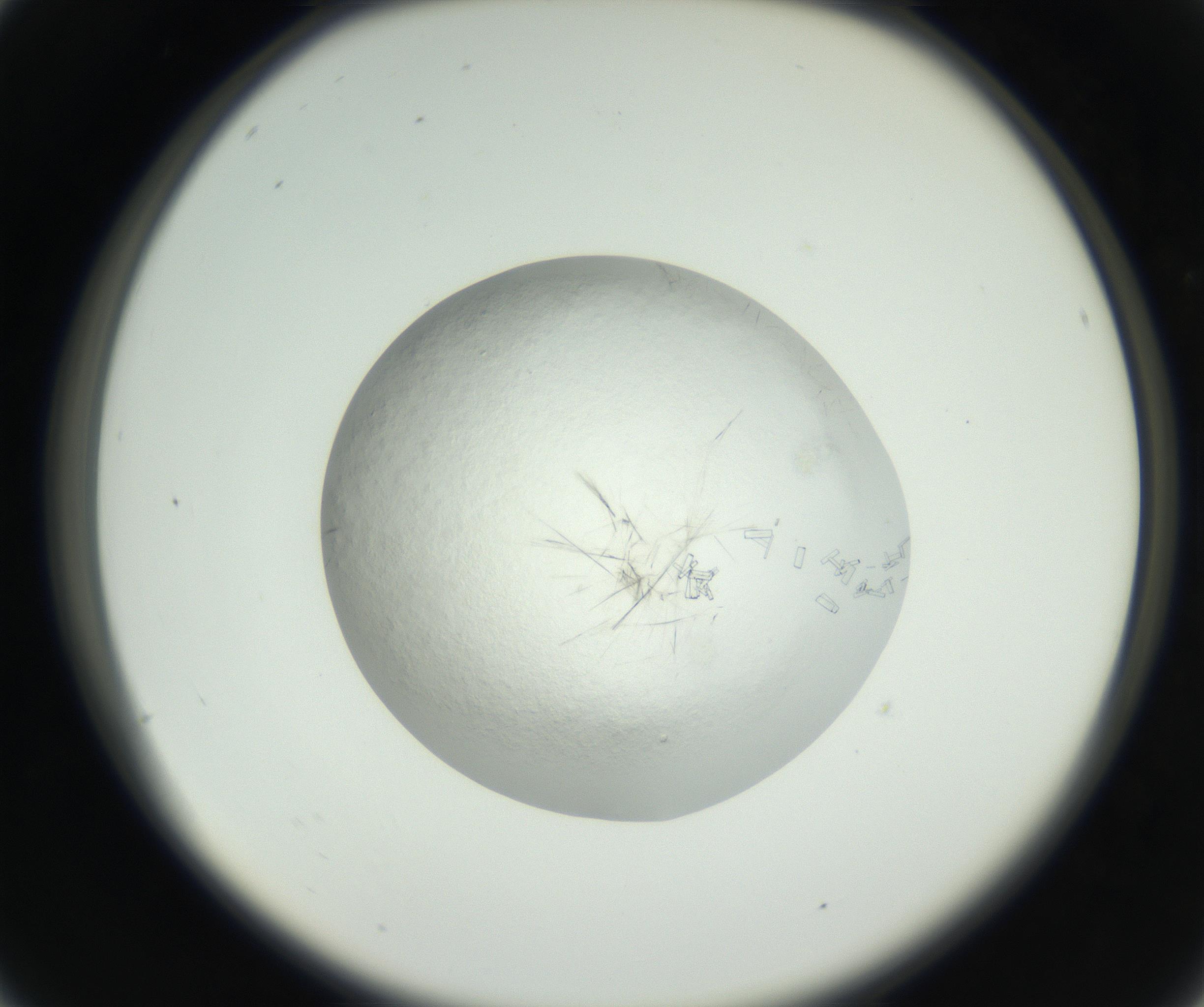 RI01_03_000_0212_Proj1_Clon1_MC_0000MC102631_008_160831_04_02_02_00_99_002_001_RAI.jpg