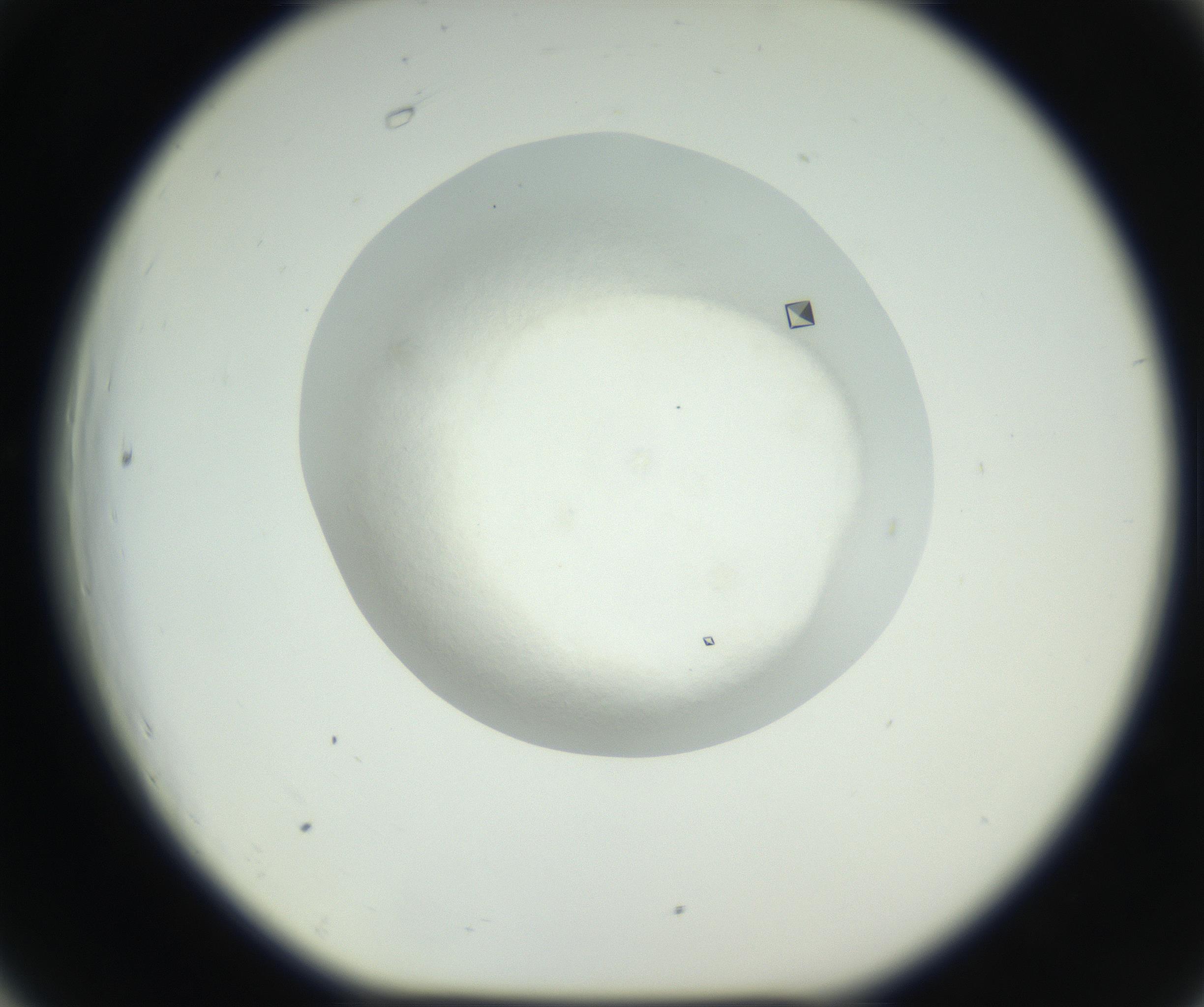 RI01_03_000_0212_Proj1_Clon1_MC_0000MC102631_008_160831_06_06_01_00_99_002_001_RAI.jpg