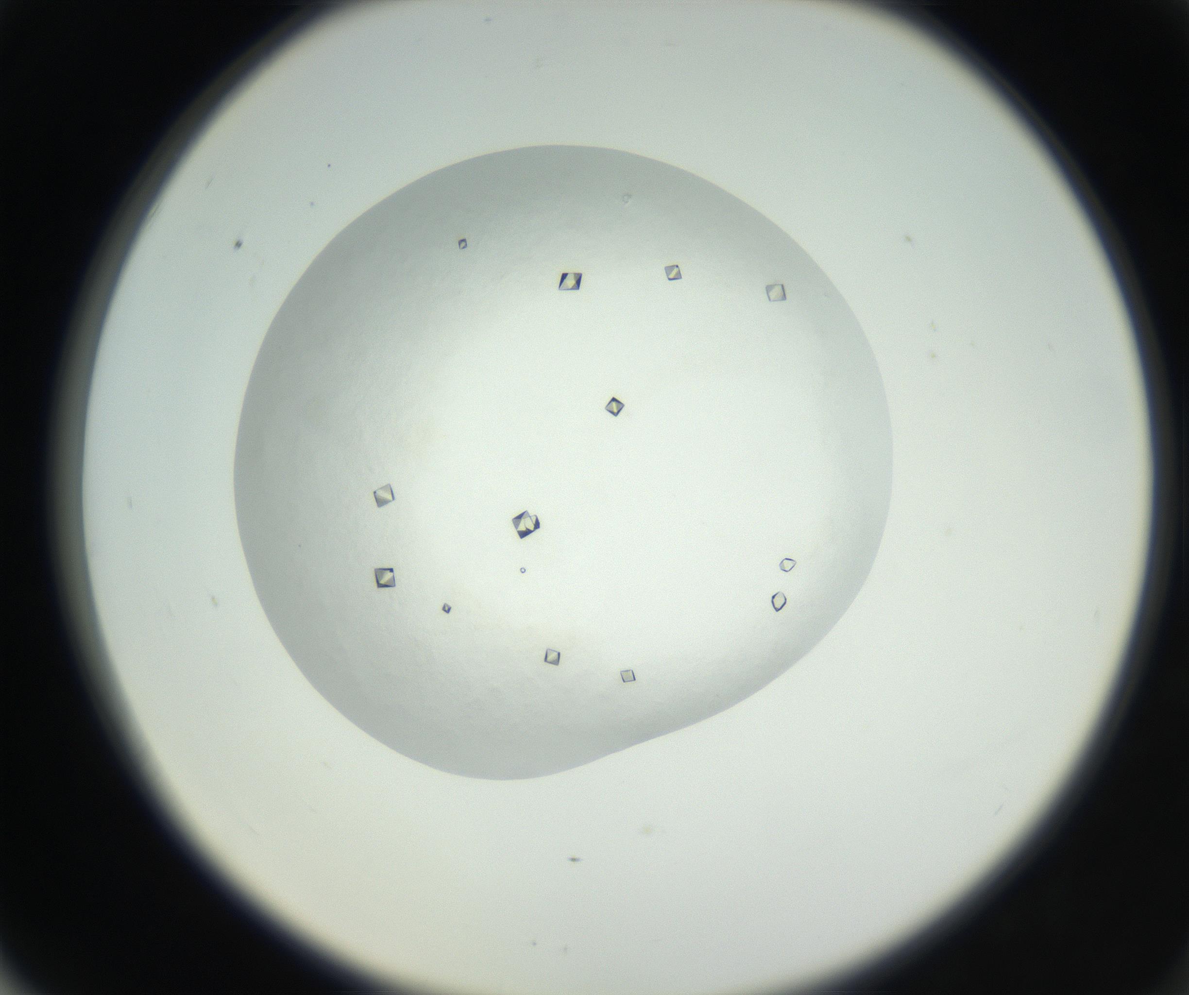 RI01_03_000_0212_Proj1_Clon1_MC_0000MC102631_008_160831_06_06_02_00_99_002_001_RAI.jpg