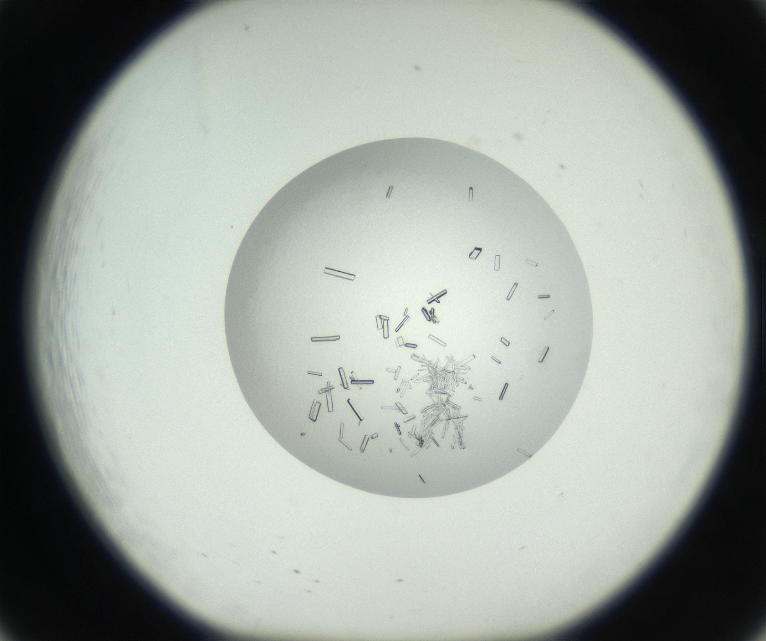 RI01_03_000_0212_Proj1_Clon1_MC_0000MC102631_008_160831_08_02_01_00_99_002_001_RAI.jpg