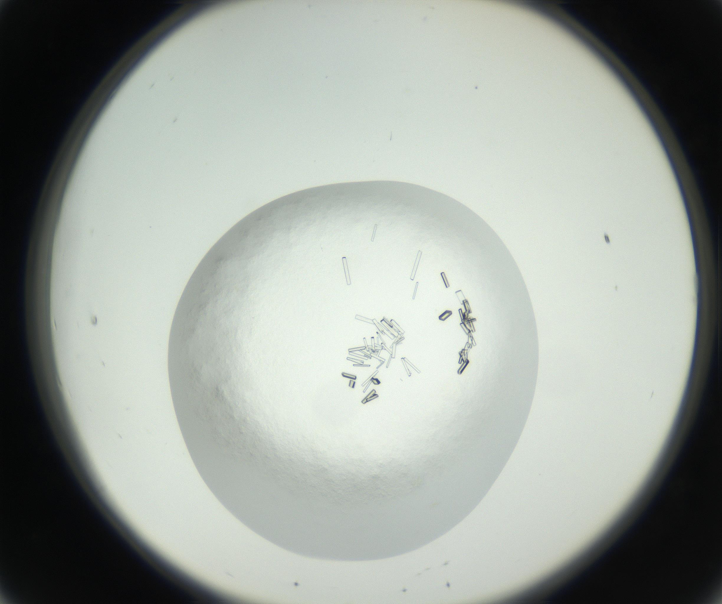 RI01_03_000_0212_Proj1_Clon1_MC_0000MC102631_008_160831_08_02_02_00_99_002_001_RAI.jpg