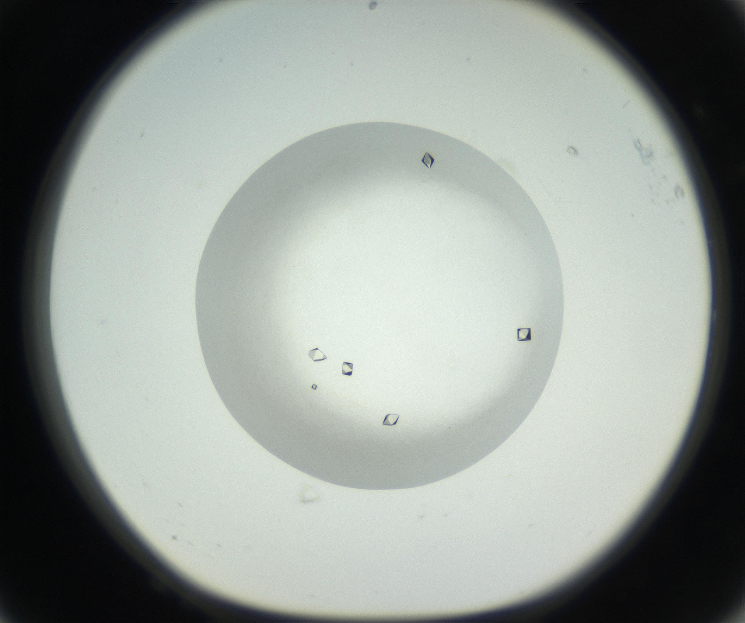 RI01_03_000_0212_Proj1_Clon1_MC_0000MC102631_008_160831_08_06_01_00_99_002_001_RAI.jpg