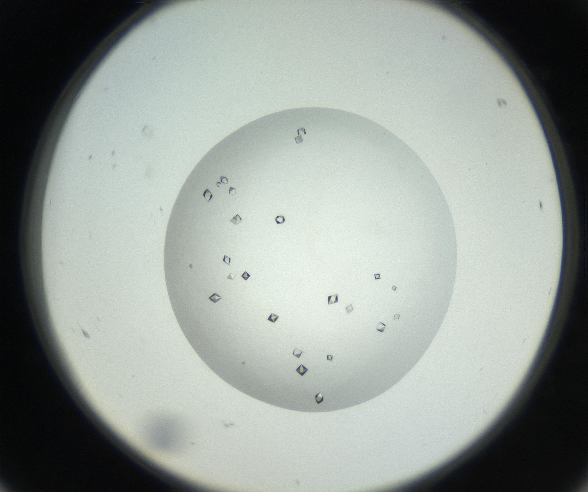 RI01_03_000_0212_Proj1_Clon1_MC_0000MC102631_008_160831_08_06_02_00_99_002_001_RAI.jpg