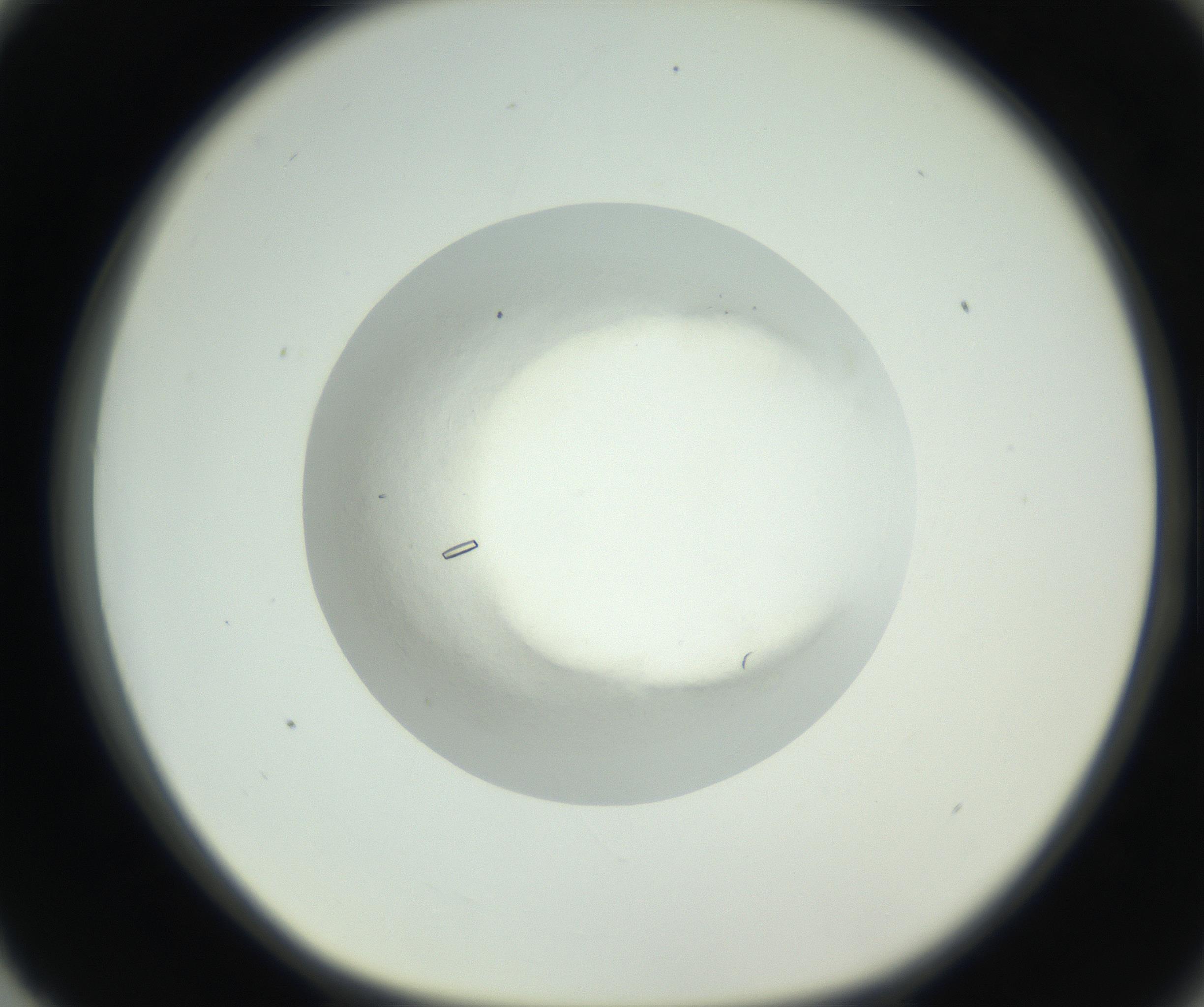 RI01_03_000_0212_Proj1_Clon1_MC_0000MC102631_009_160906_03_08_01_00_99_002_001_RAI.jpg