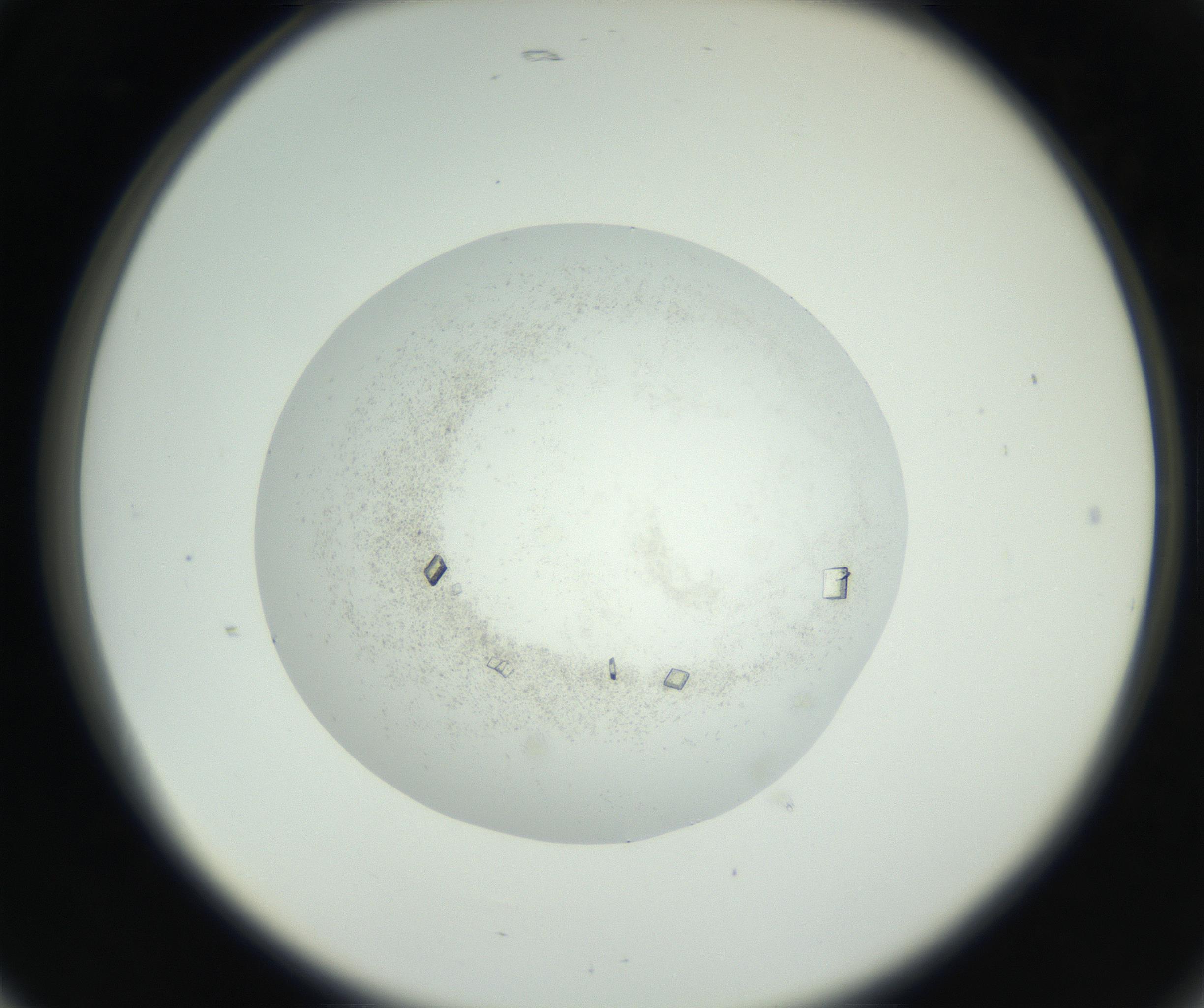 RI01_03_000_0212_Proj1_Clon1_MC_0000MC102631_010_160914_05_02_02_00_99_002_001_RAI.jpg