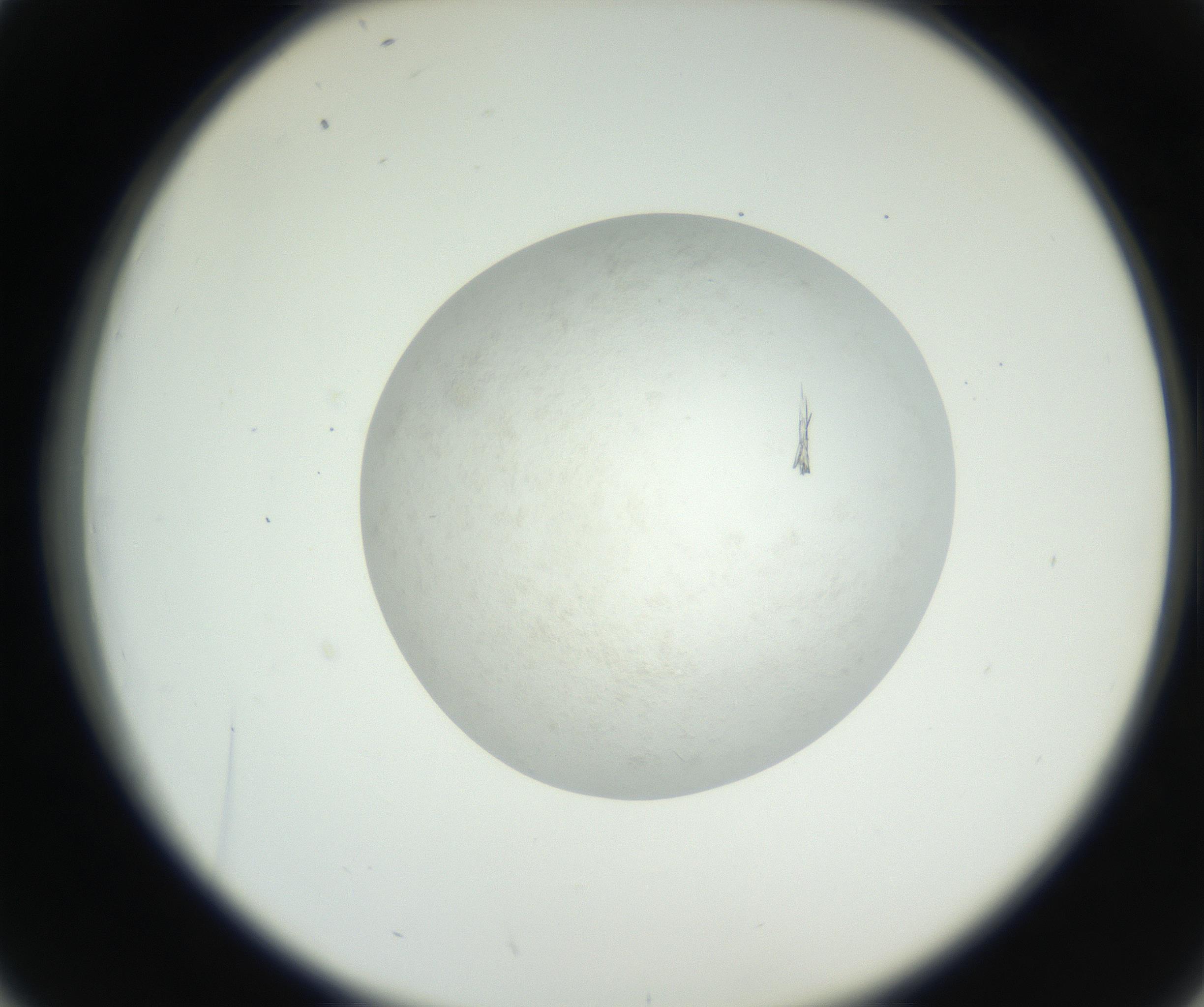RI01_03_000_0212_Proj1_Clon1_MC_0000MC102632_005_160816_02_04_02_00_99_002_001_RAI.jpg