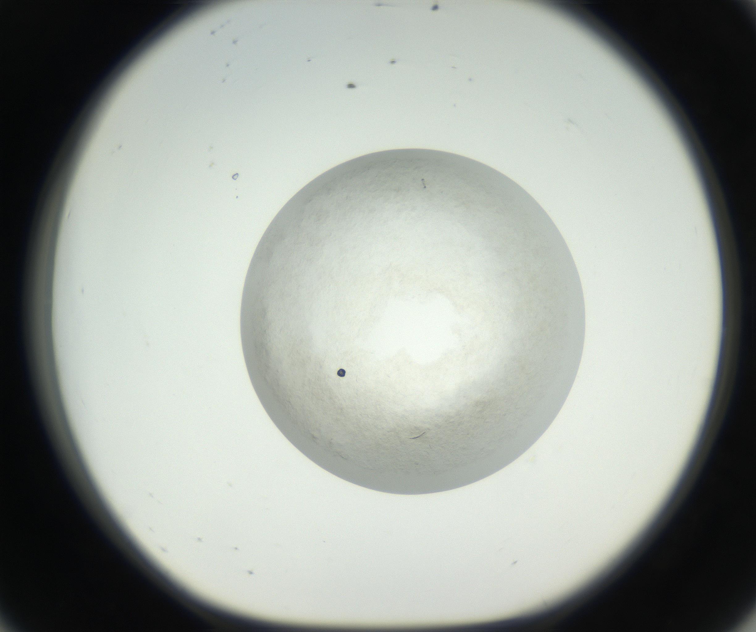 RI01_03_000_0212_Proj1_Clon1_MC_0000MC102632_005_160816_08_05_01_00_99_002_001_RAI.jpg