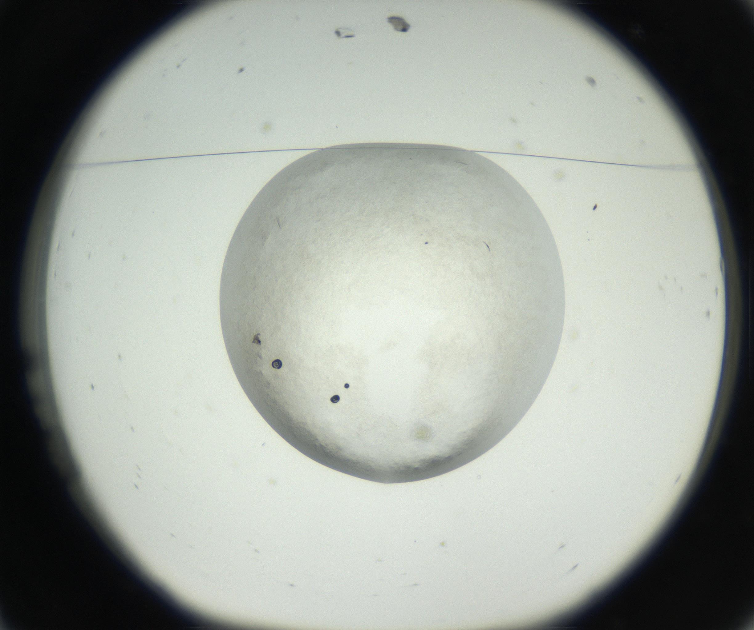 RI01_03_000_0212_Proj1_Clon1_MC_0000MC102632_005_160816_11_01_01_00_99_002_001_RAI.jpg