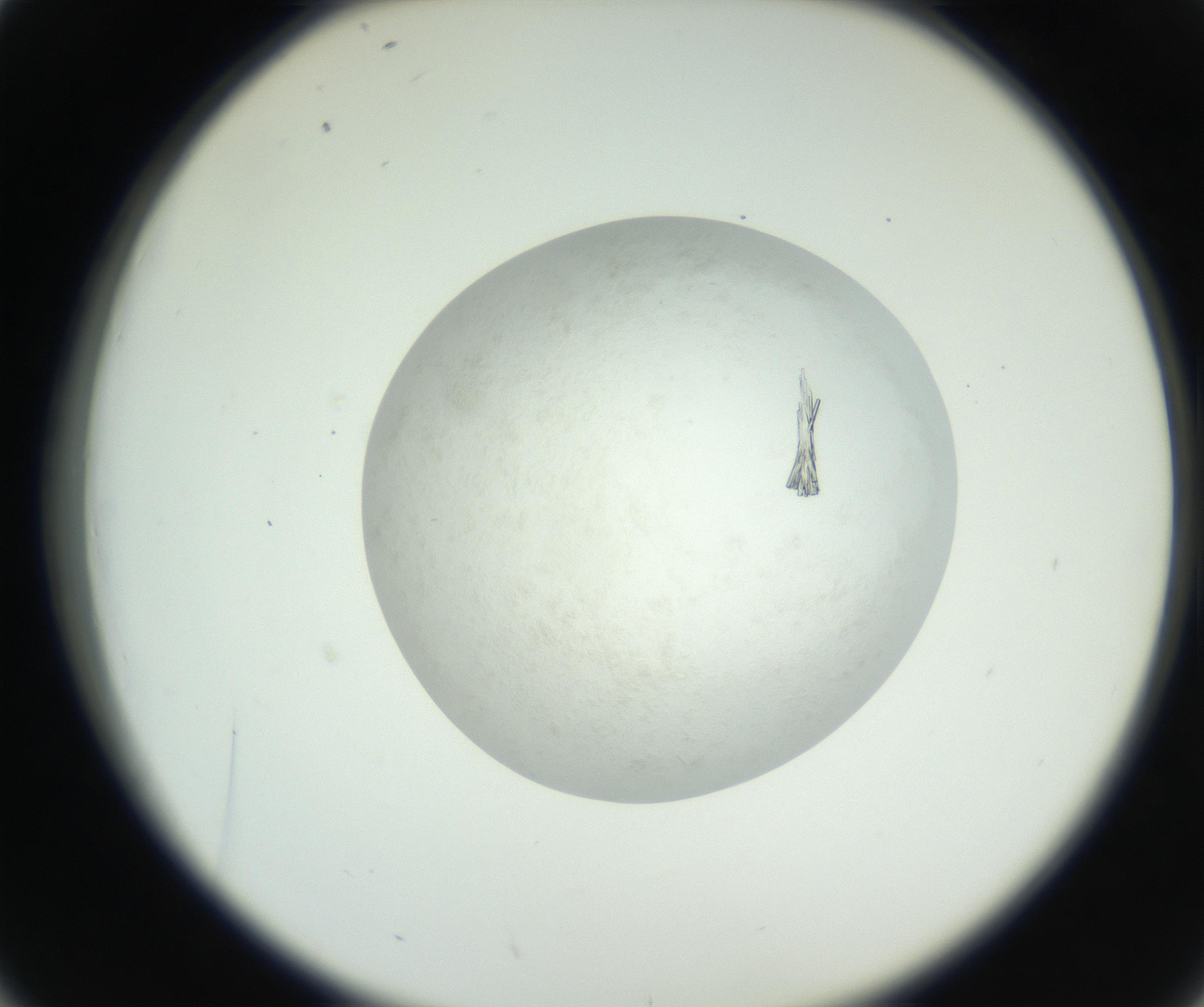 RI01_03_000_0212_Proj1_Clon1_MC_0000MC102632_008_160831_02_04_02_00_99_002_001_RAI.jpg
