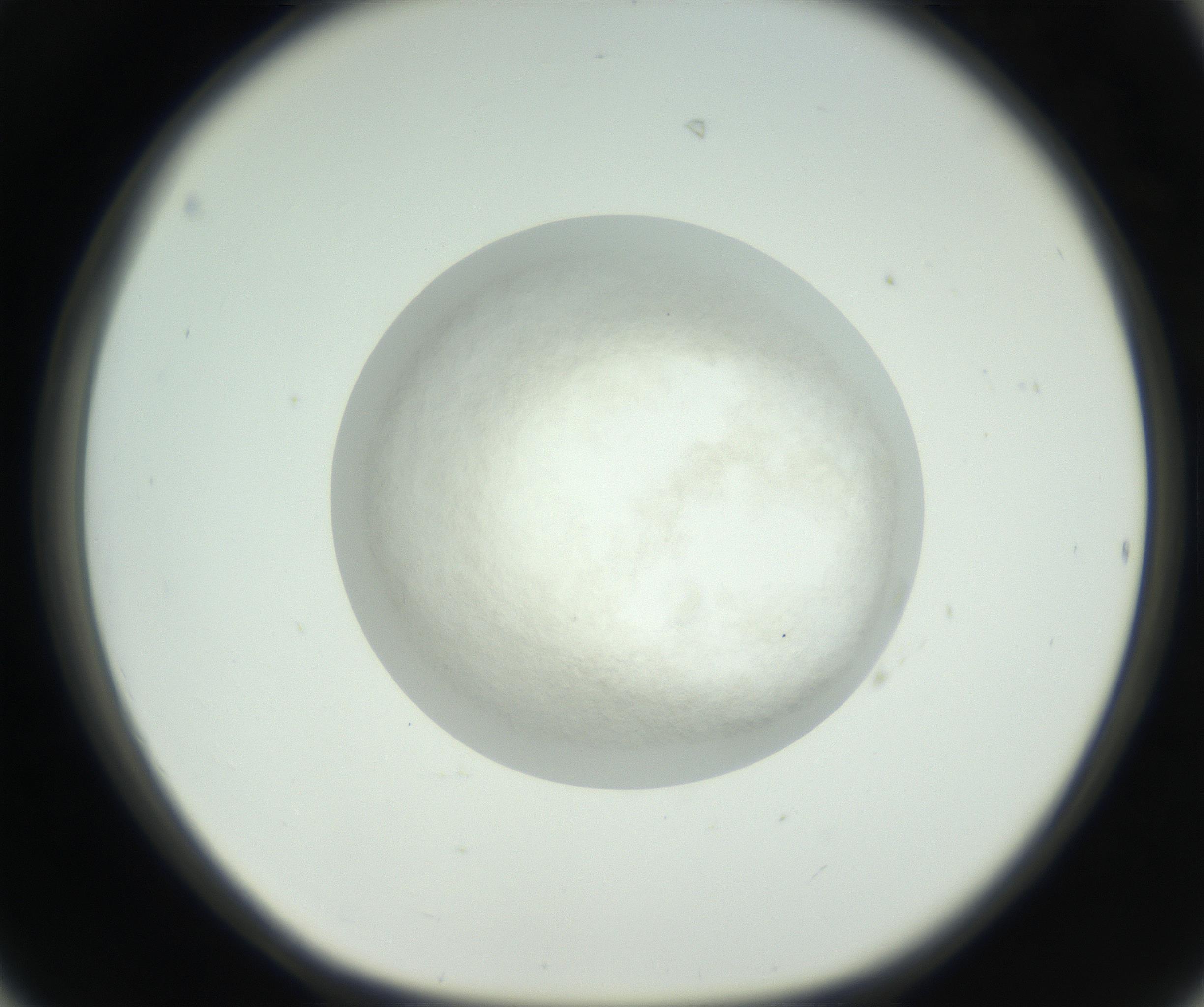 RI01_03_000_0212_Proj1_Clon1_MC_0000MC102632_010_160914_06_04_01_00_99_002_001_RAI.jpg