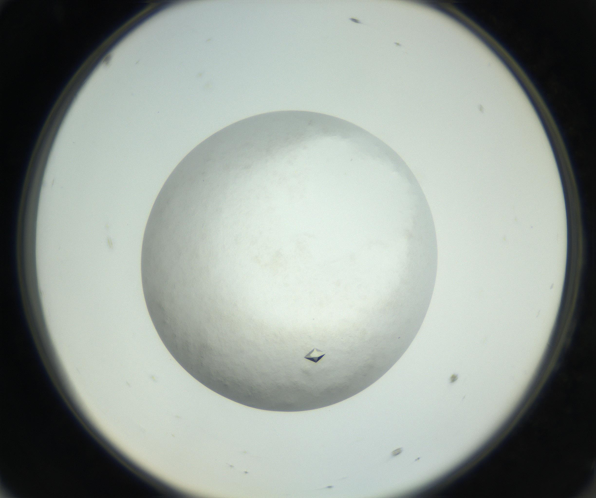 RI01_03_000_0212_Proj1_Clon1_MC_0000MC102632_010_160914_10_06_02_00_99_002_001_RAI.jpg