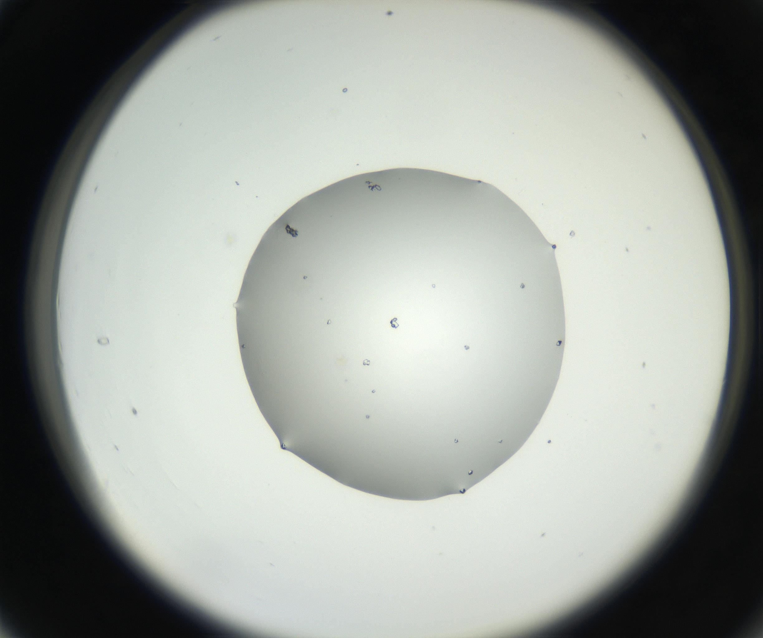 RI01_03_000_0212_Proj1_Clon1_MC_0000MC102636_002_160812_04_03_02_00_99_002_001_RAI.jpg