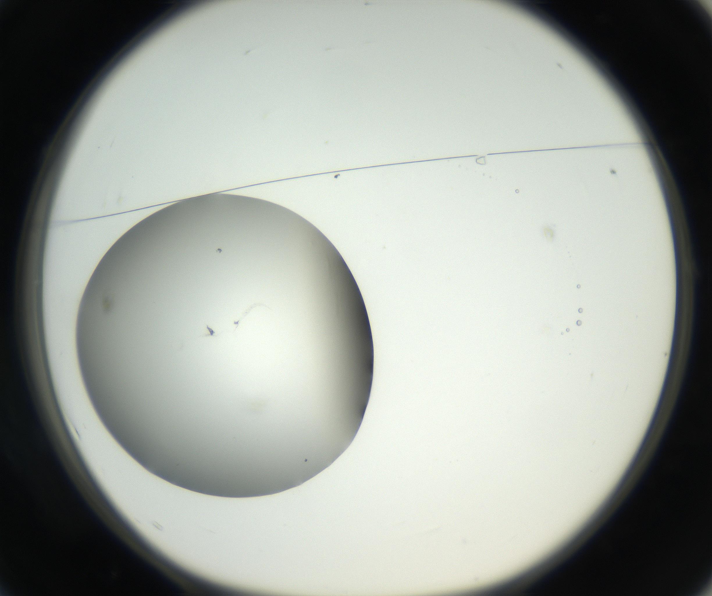 RI01_03_000_0212_Proj1_Clon1_MC_0000MC102636_003_160814_01_01_01_00_99_002_001_RAI.jpg
