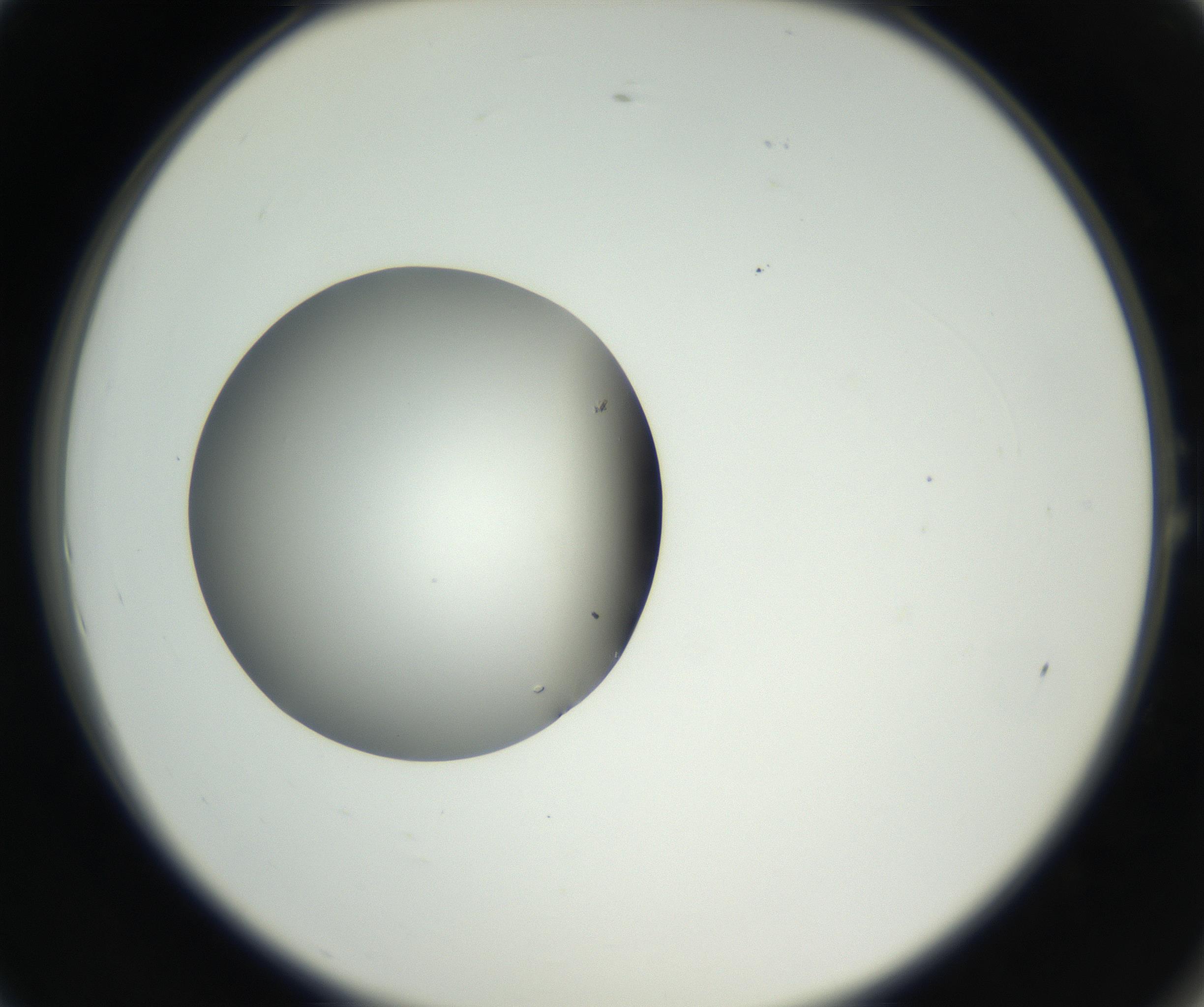 RI01_03_000_0212_Proj1_Clon1_MC_0000MC102636_003_160814_01_01_02_00_99_002_001_RAI.jpg
