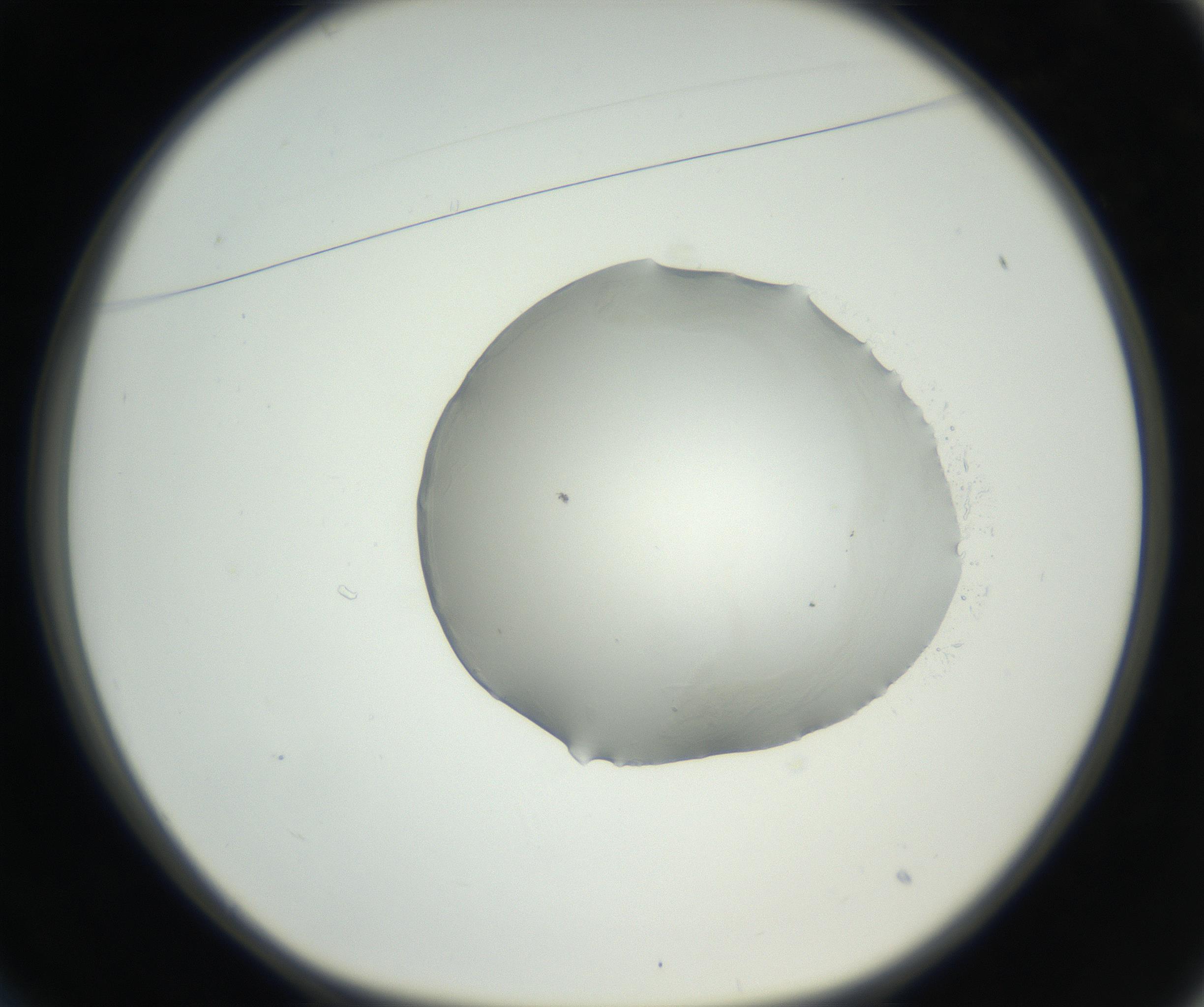 RI01_03_000_0212_Proj1_Clon1_MC_0000MC102636_003_160814_01_02_01_00_99_002_001_RAI.jpg