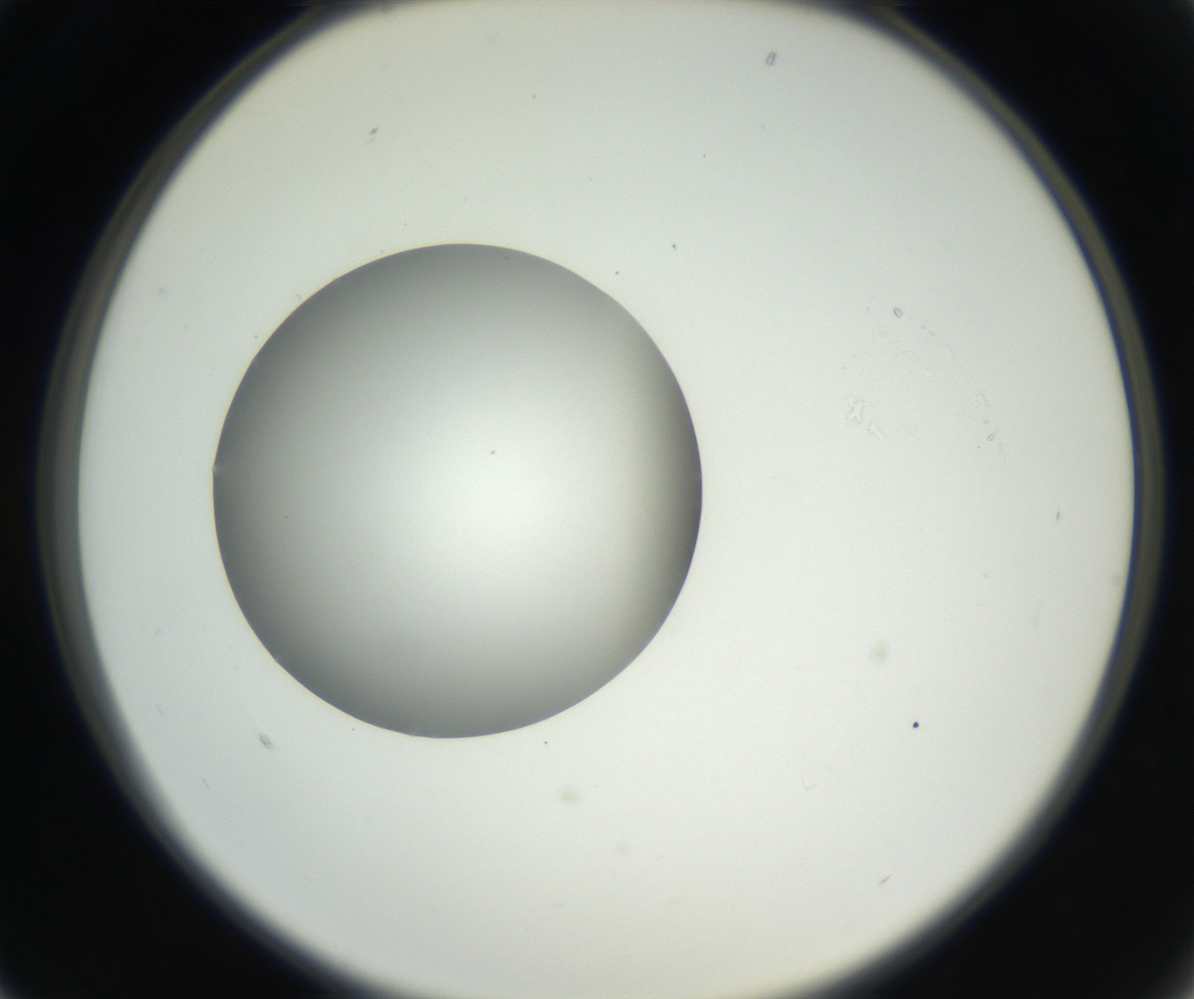 RI01_03_000_0212_Proj1_Clon1_MC_0000MC102636_003_160814_01_02_02_00_99_002_001_RAI.jpg