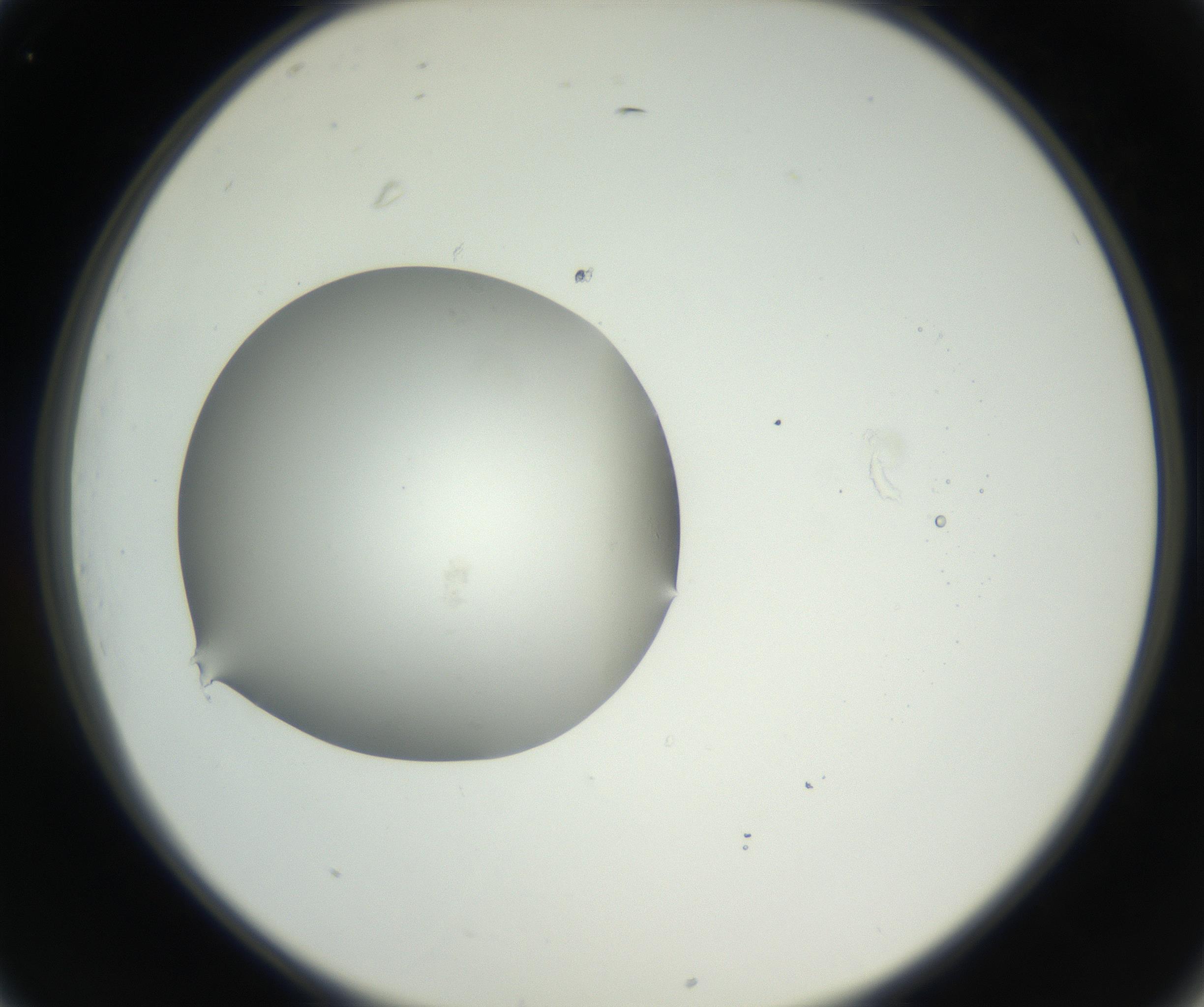 RI01_03_000_0212_Proj1_Clon1_MC_0000MC102636_003_160814_01_03_02_00_99_002_001_RAI.jpg