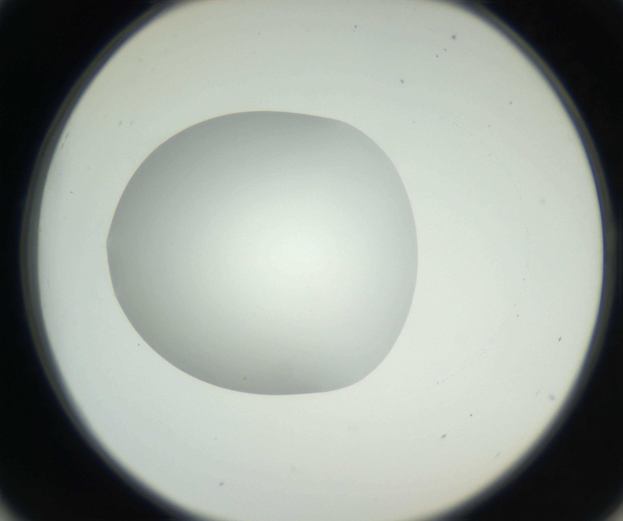 RI01_03_000_0212_Proj1_Clon1_MC_0000MC102636_003_160814_01_05_02_00_99_002_001_RAI.jpg