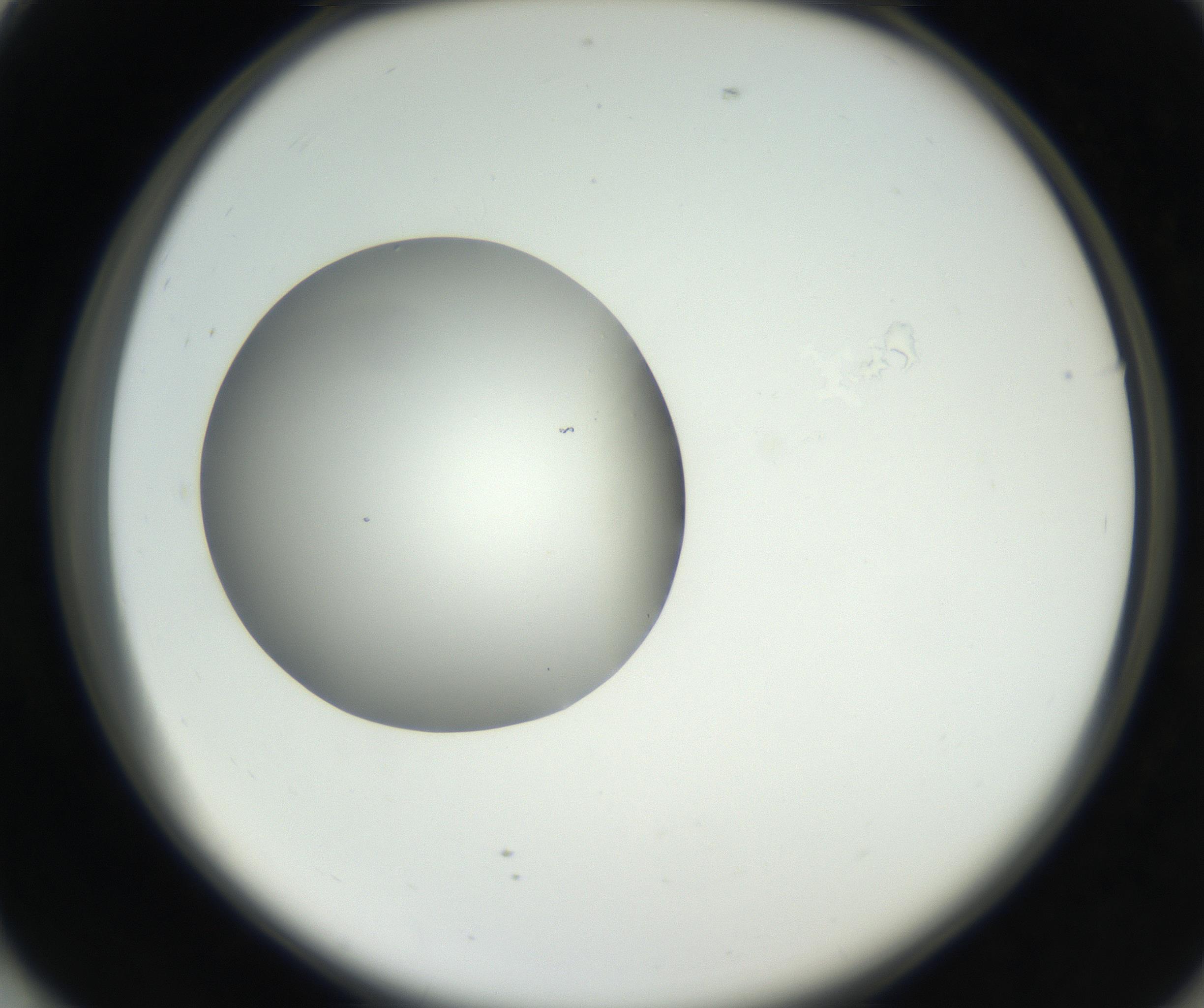 RI01_03_000_0212_Proj1_Clon1_MC_0000MC102636_003_160814_01_07_02_00_99_002_001_RAI.jpg