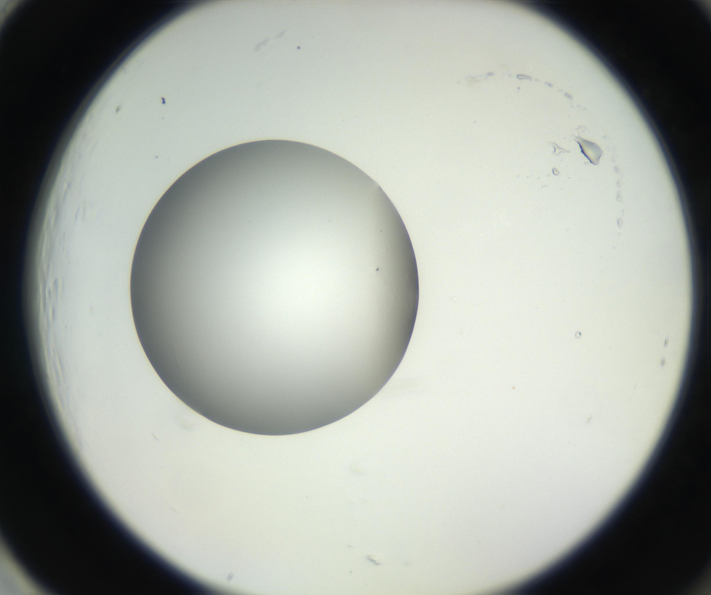 RI01_03_000_0212_Proj1_Clon1_MC_0000MC102636_003_160814_01_08_02_00_99_002_001_RAI.jpg