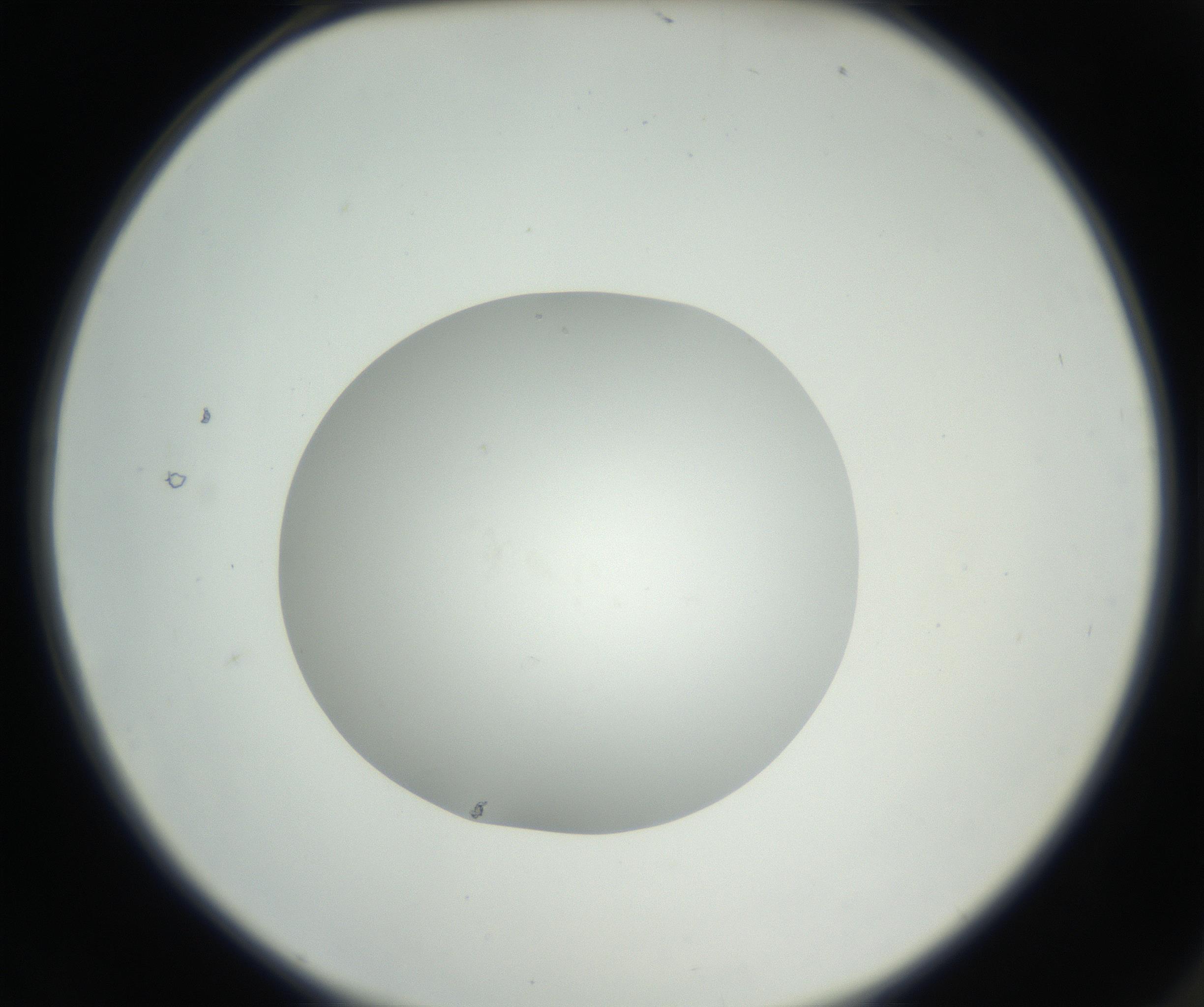 RI01_03_000_0212_Proj1_Clon1_MC_0000MC102636_003_160814_02_01_02_00_99_002_001_RAI.jpg