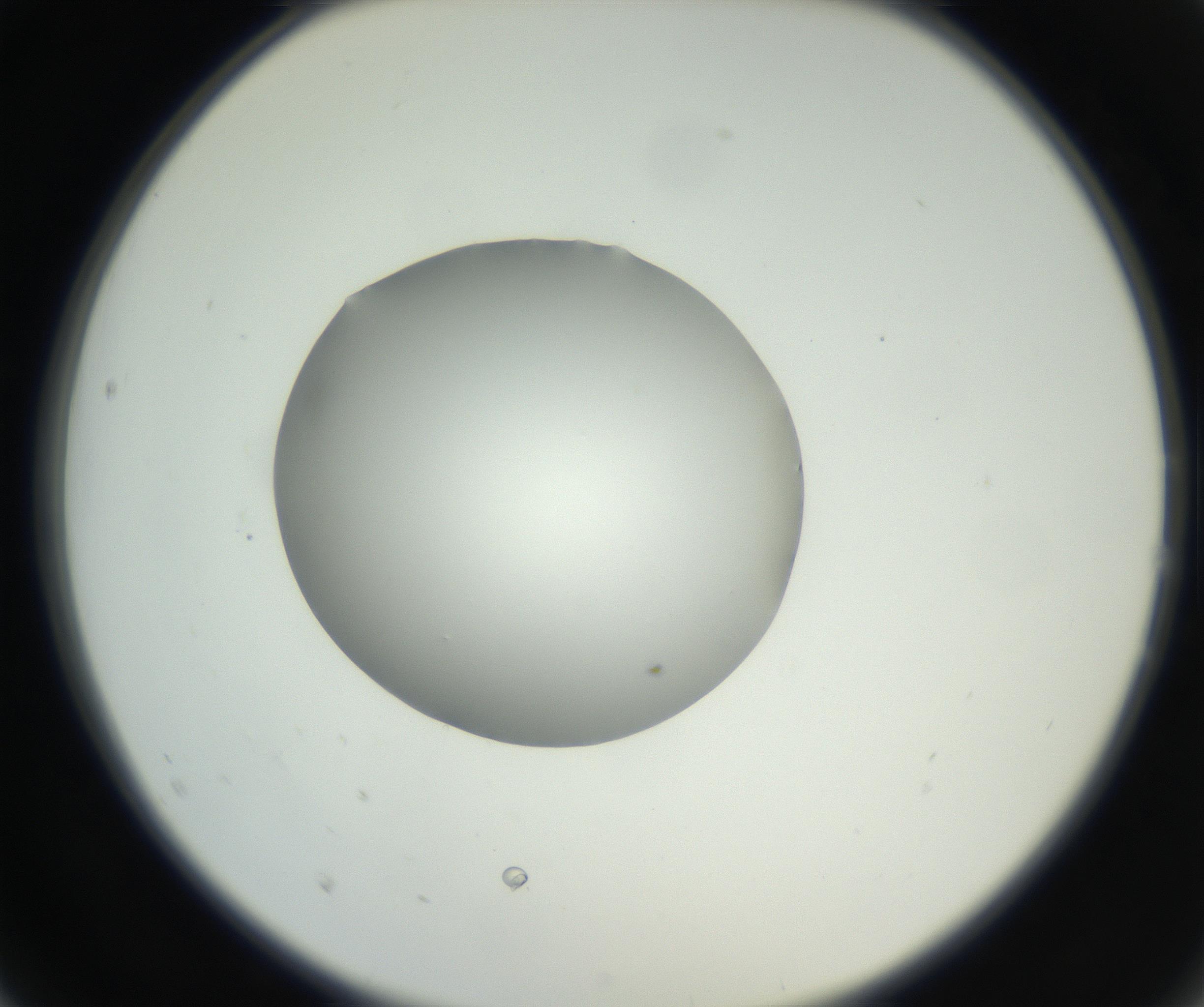 RI01_03_000_0212_Proj1_Clon1_MC_0000MC102636_003_160814_02_02_02_00_99_002_001_RAI.jpg