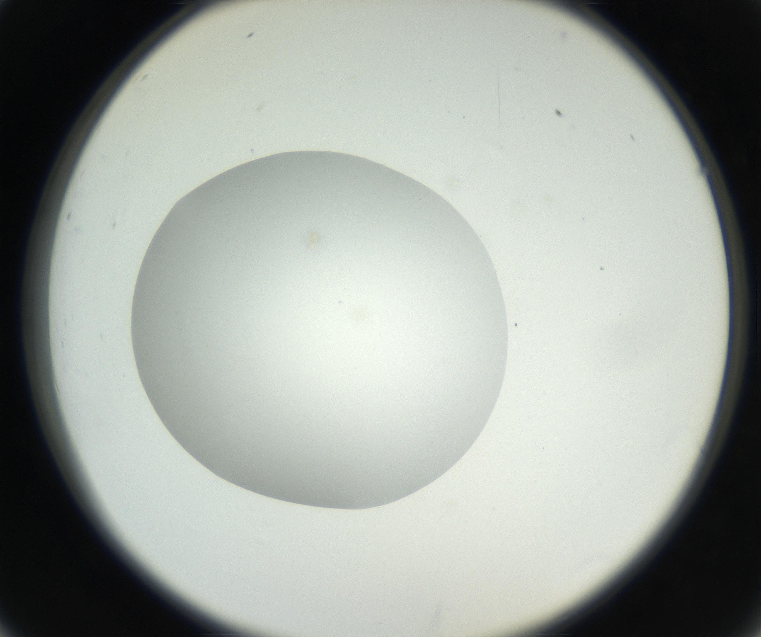 RI01_03_000_0212_Proj1_Clon1_MC_0000MC102636_003_160814_02_03_02_00_99_002_001_RAI.jpg