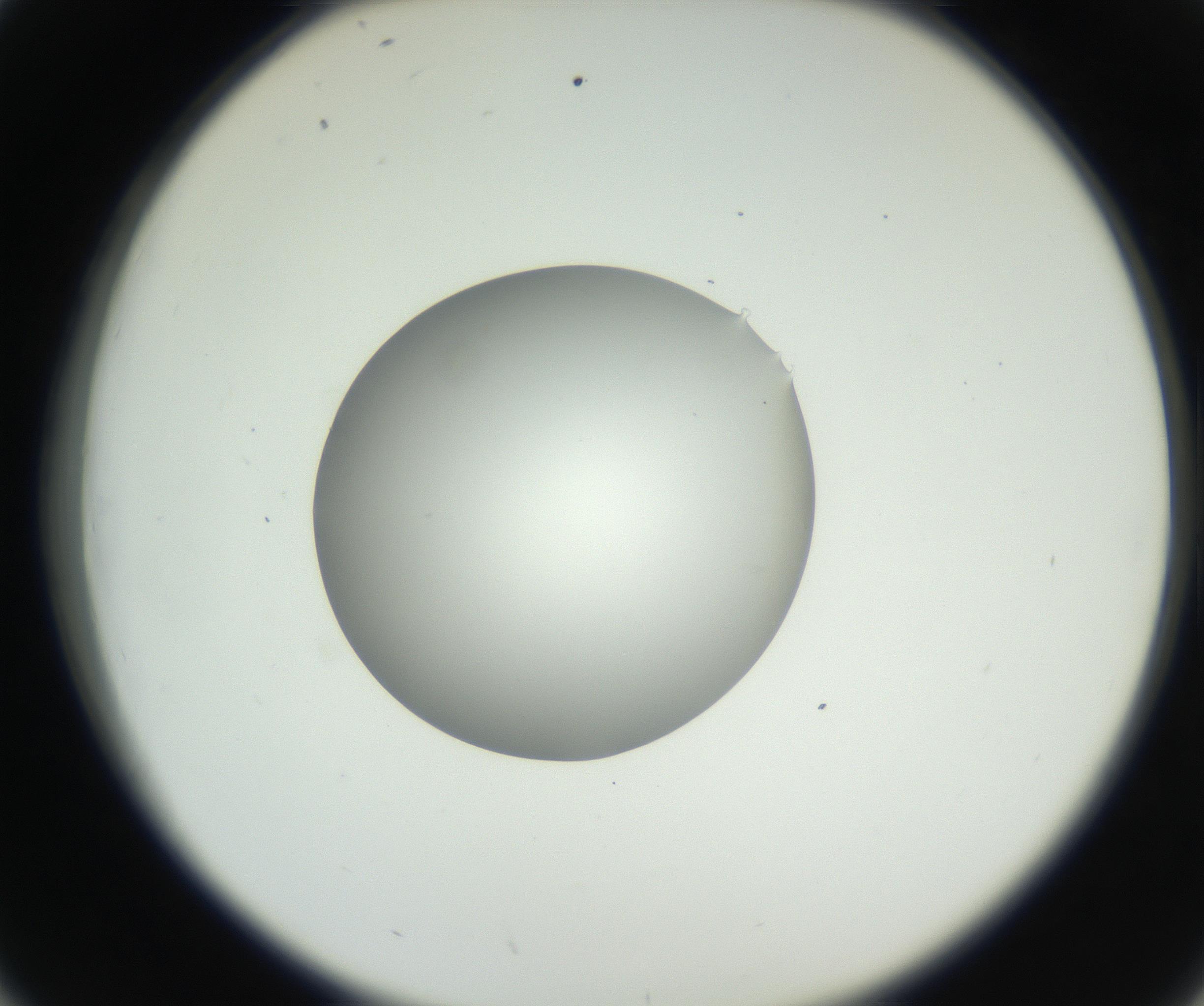 RI01_03_000_0212_Proj1_Clon1_MC_0000MC102636_003_160814_02_04_02_00_99_002_001_RAI.jpg