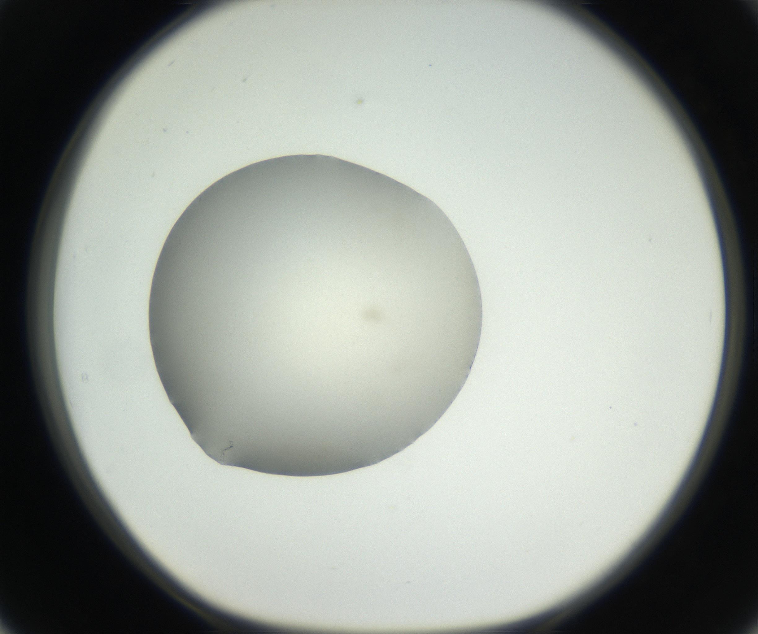 RI01_03_000_0212_Proj1_Clon1_MC_0000MC102636_003_160814_02_05_01_00_99_002_001_RAI.jpg