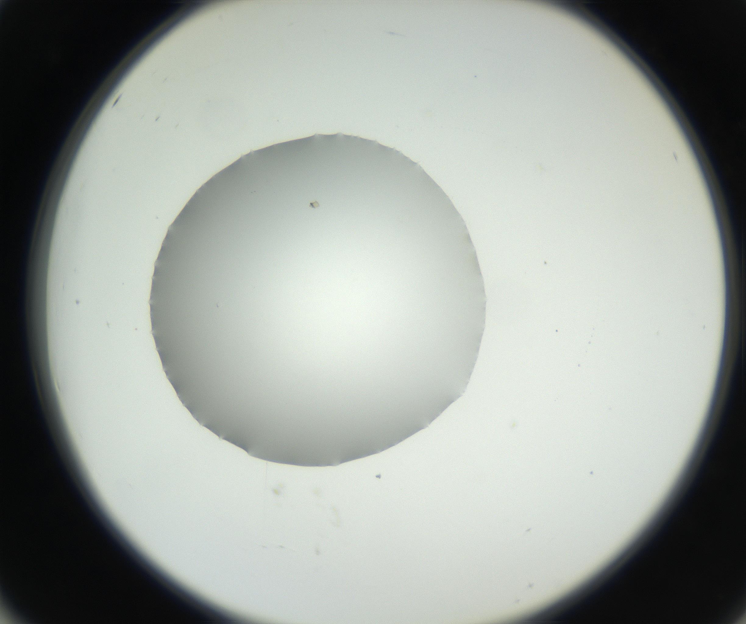 RI01_03_000_0212_Proj1_Clon1_MC_0000MC102636_003_160814_02_05_02_00_99_002_001_RAI.jpg