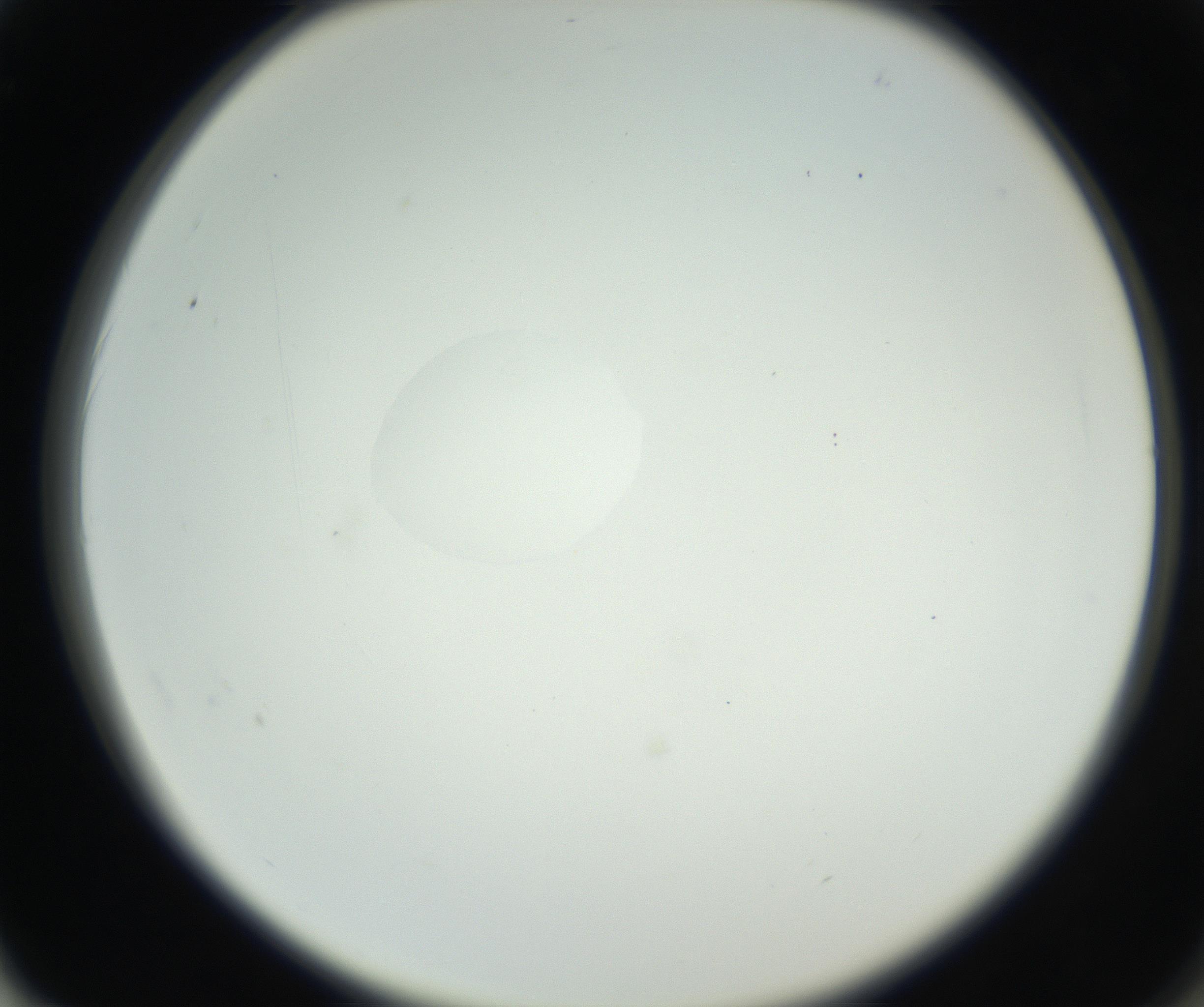 RI01_03_000_0212_Proj1_Clon1_MC_0000MC102636_003_160814_02_06_02_00_99_002_001_RAI.jpg