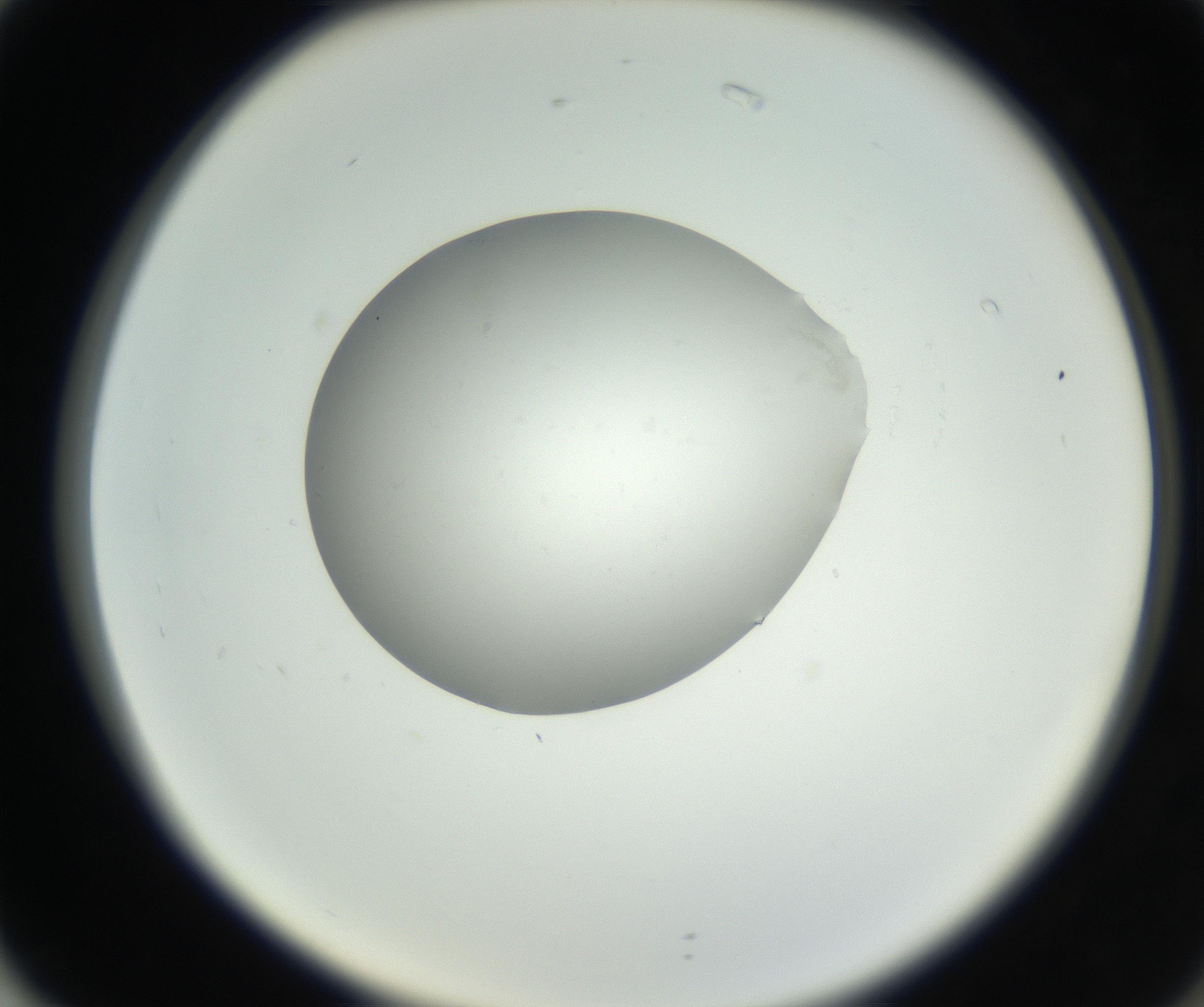 RI01_03_000_0212_Proj1_Clon1_MC_0000MC102636_003_160814_02_07_02_00_99_002_001_RAI.jpg