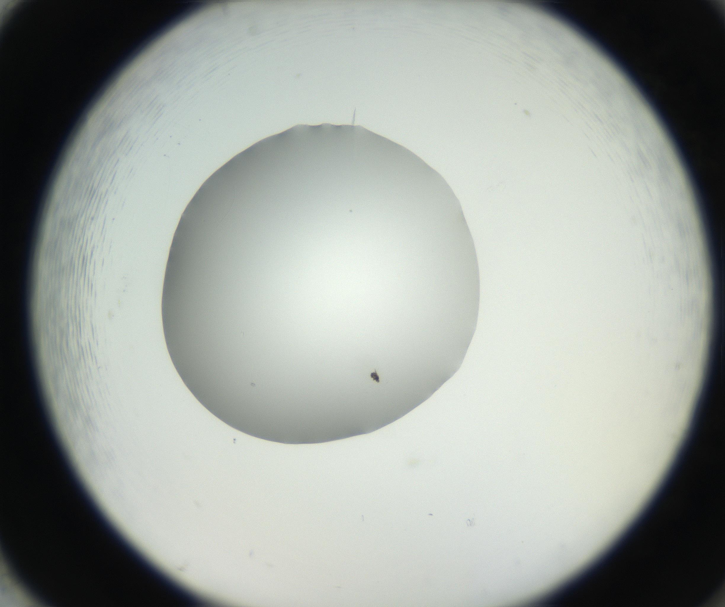 RI01_03_000_0212_Proj1_Clon1_MC_0000MC102636_003_160814_02_08_02_00_99_002_001_RAI.jpg