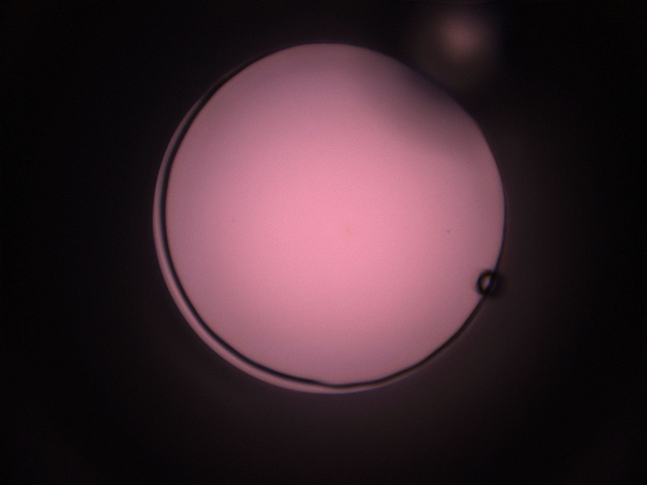 05i2_K9_ImagerDefaults_1.jpg